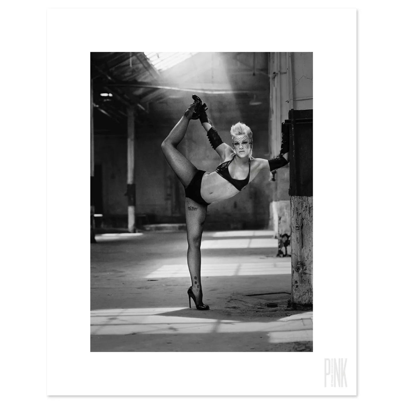 P!nk 10 Years Book with High-Quality Print Set