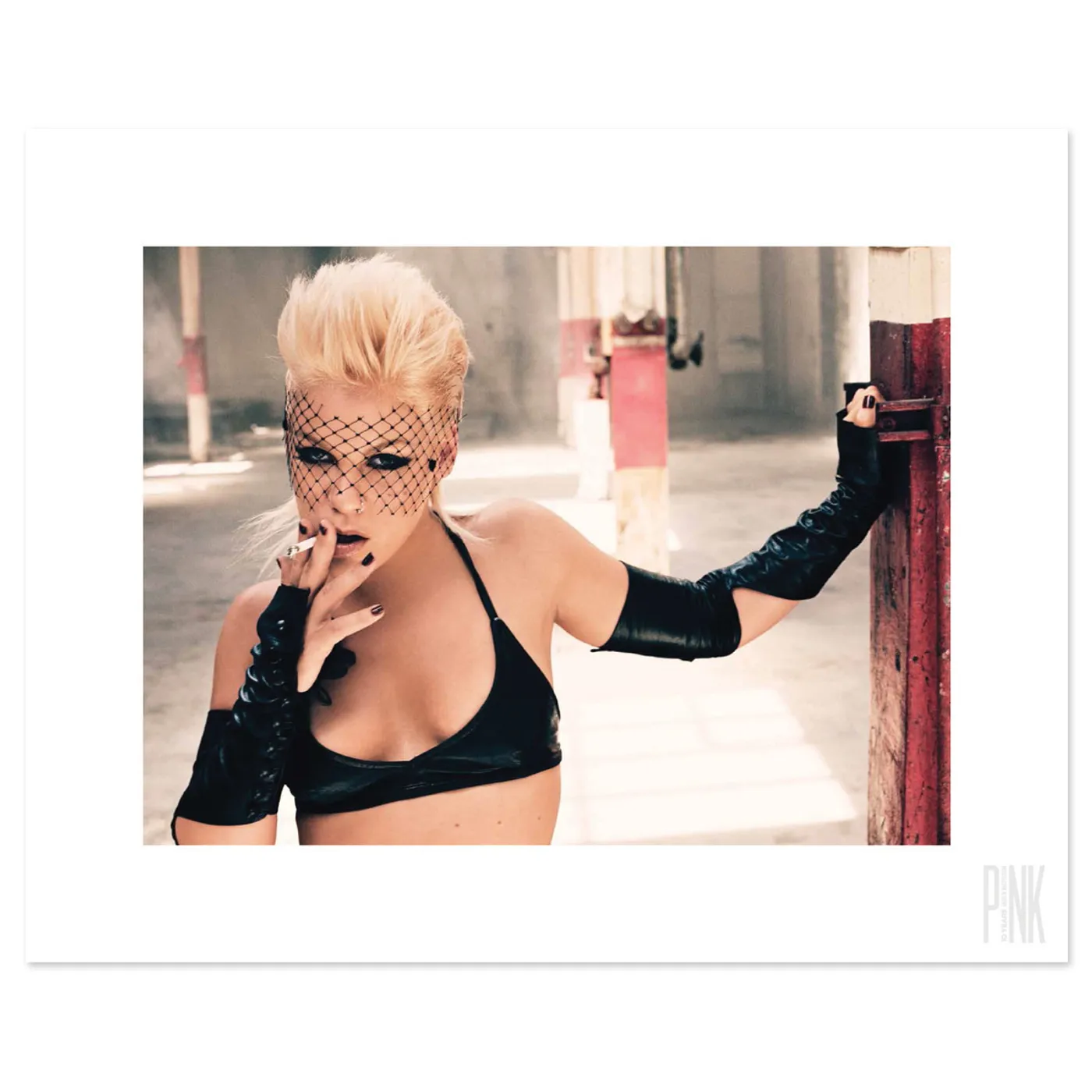 P!nk 10 Years Book with High-Quality Print Set