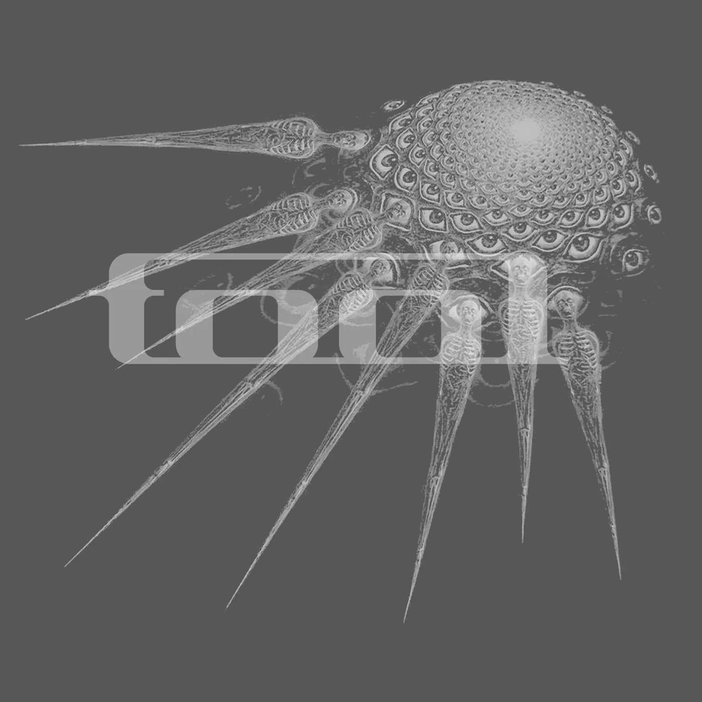 Tool T-Shirt | Spectre Spikes Tool Shirt