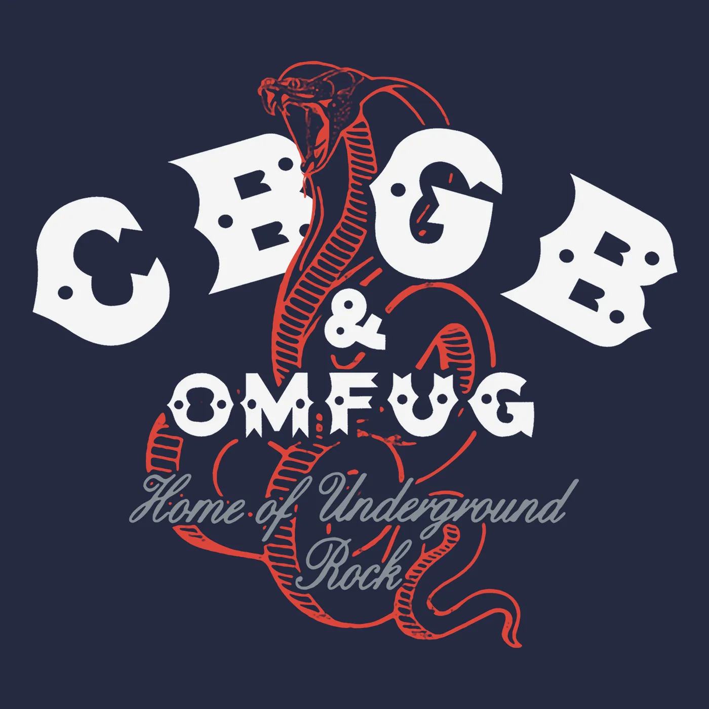 アート・デザイン・音楽 CBGB & OMFUG:Thirty Years from the Home 51SXn9vLEHL._UF1000,1000_QL80_.jpg