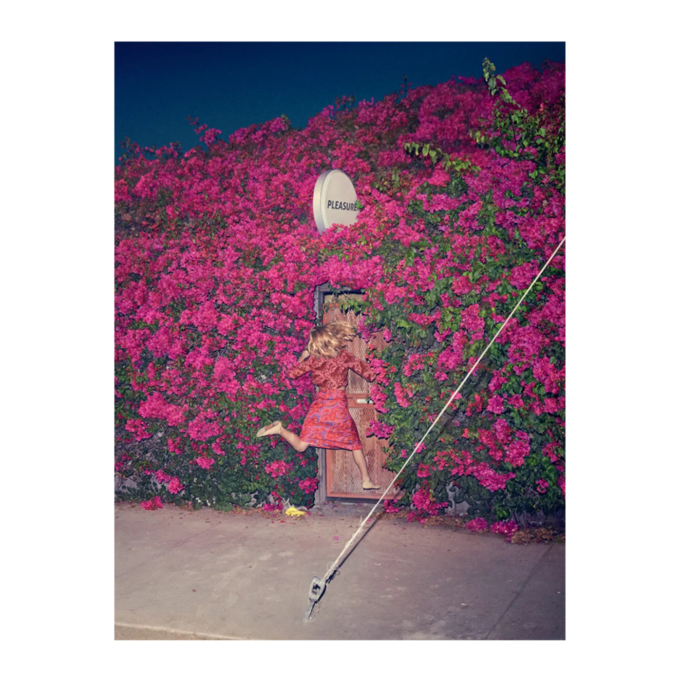 Feist Pleasure Print