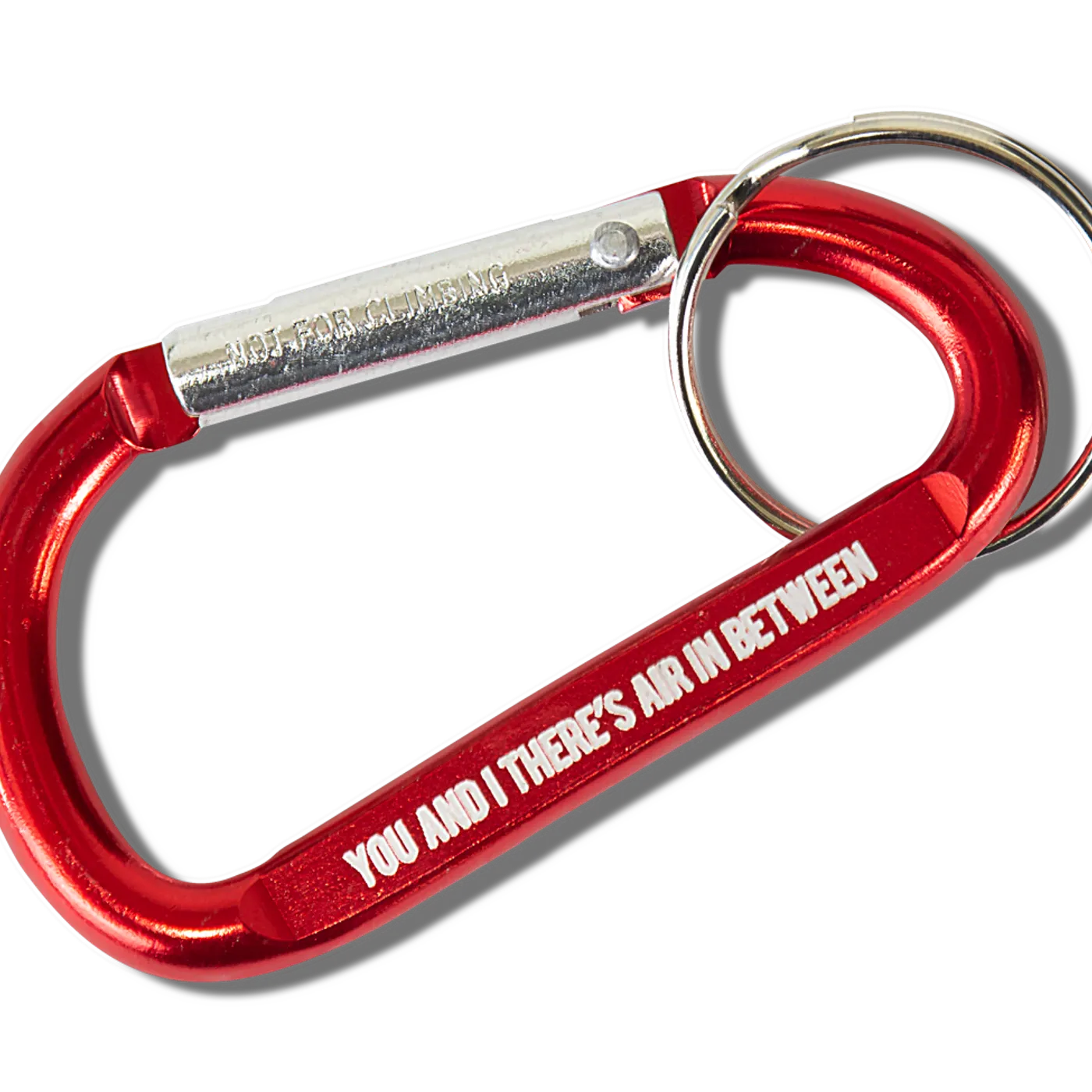 Maggie Rogers Alaska Keychain Carabiner