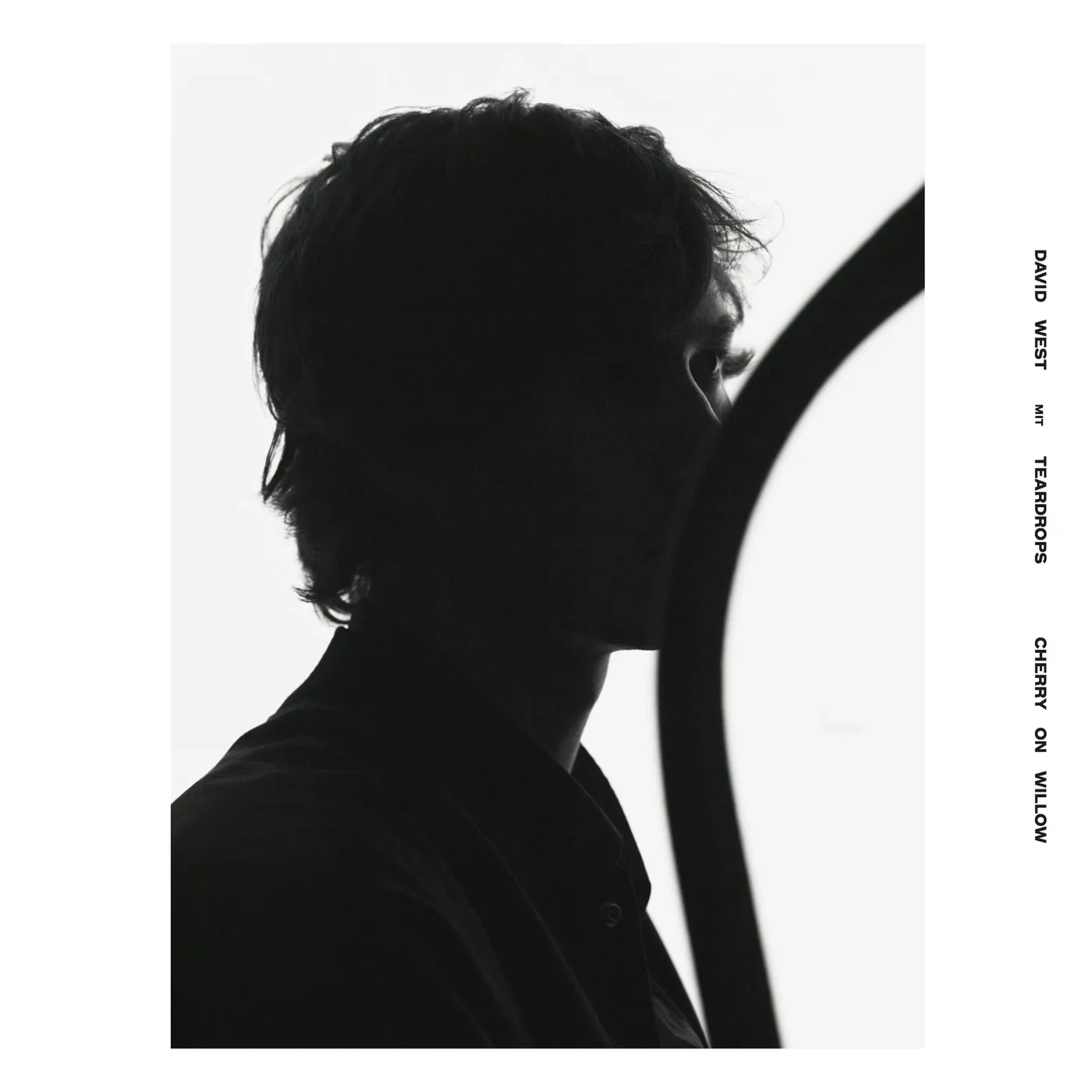 David West with Teardrops 'Cherry On Willow' Vinyl Record