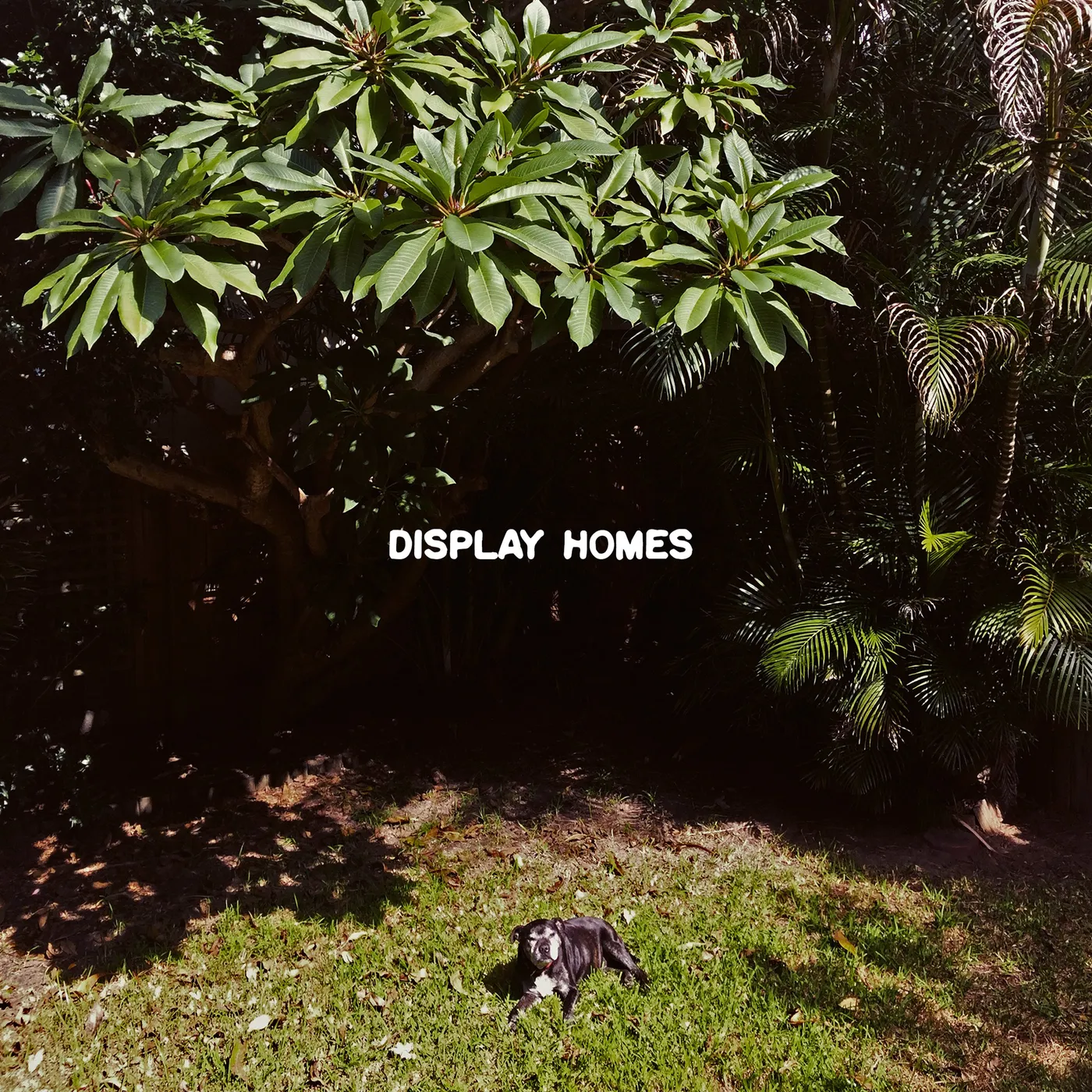 Display Homes 'Climate Change' Vinyl 7" Vinyl Record