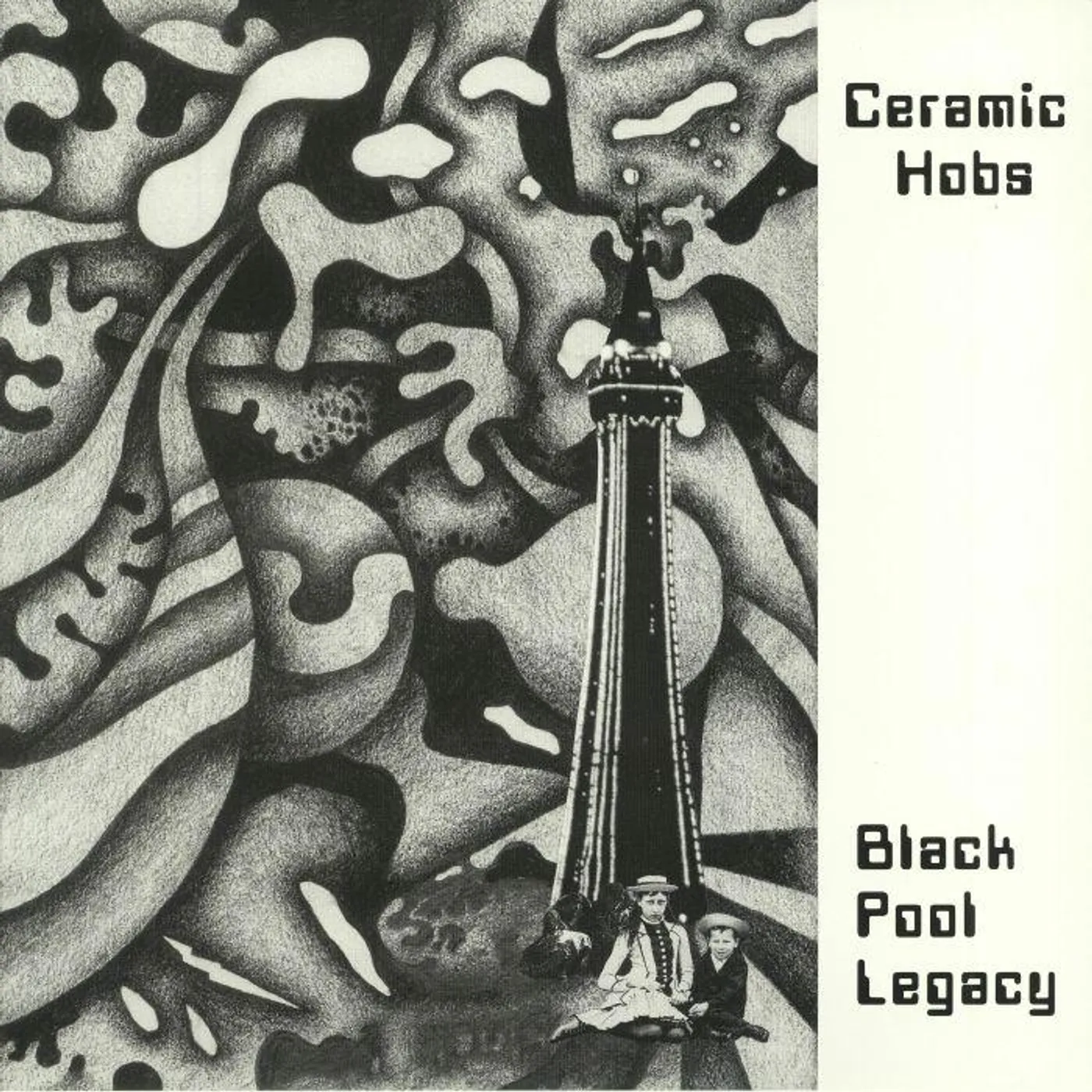 The Ceramic Hobs