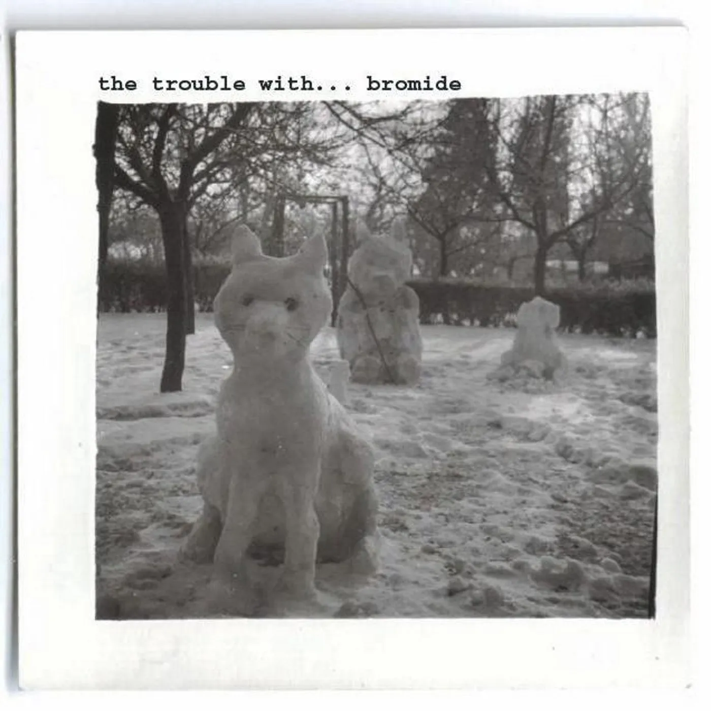Bromide ‘The Trouble With... Bromide’