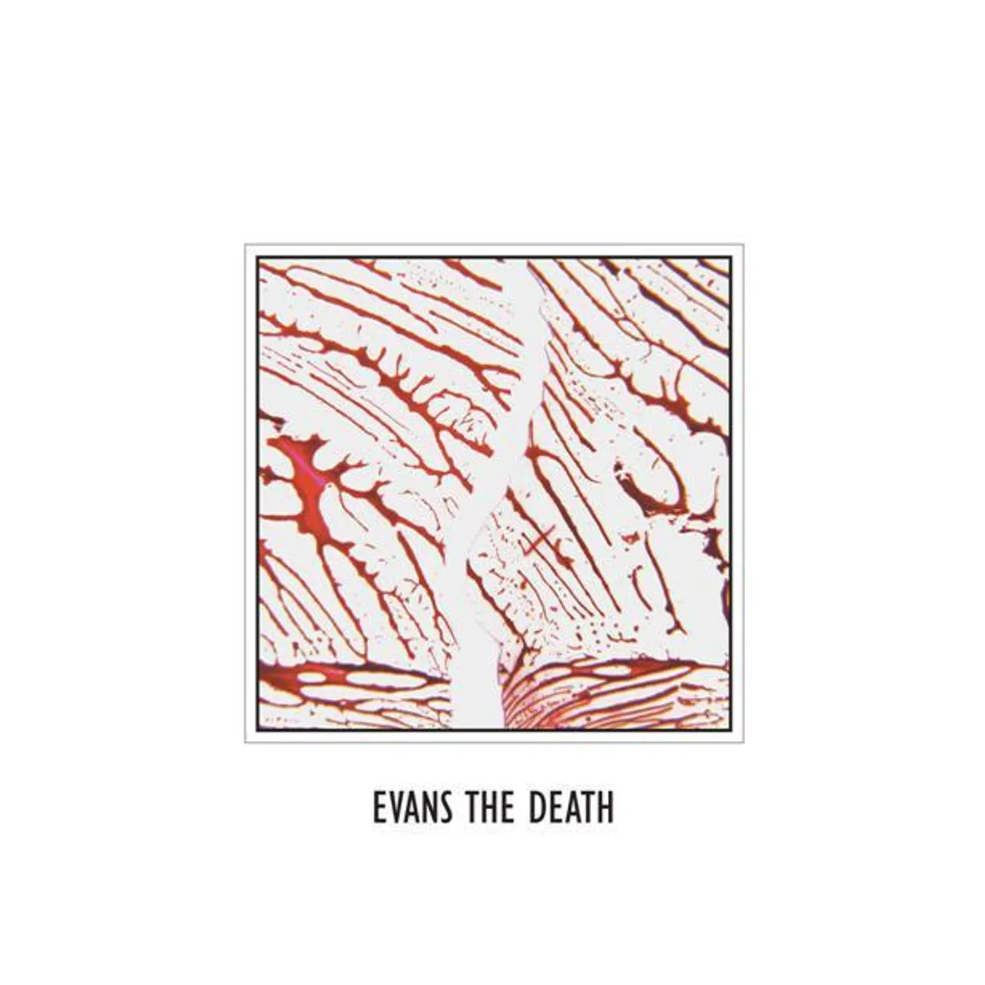 Evans The Death 'S-T' Vinyl Record