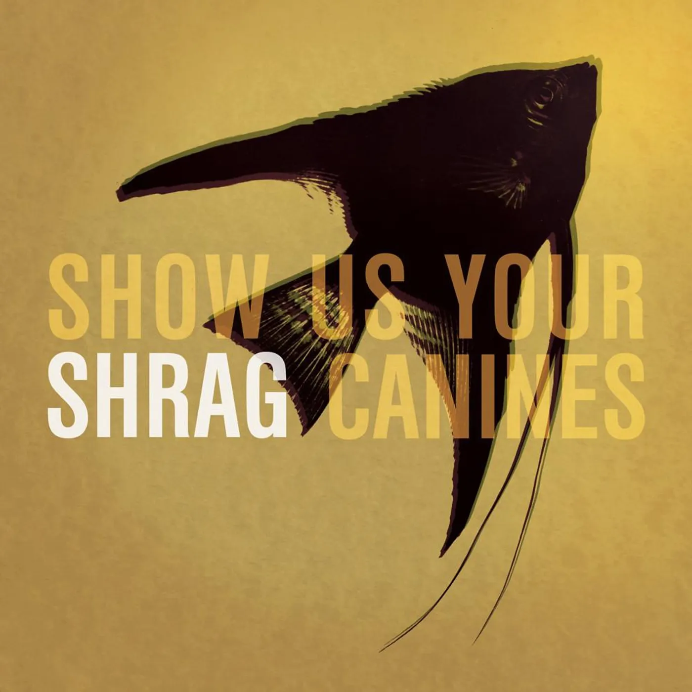 Shrag 'Show Us Your Canines' Vinyl 7" Vinyl Record