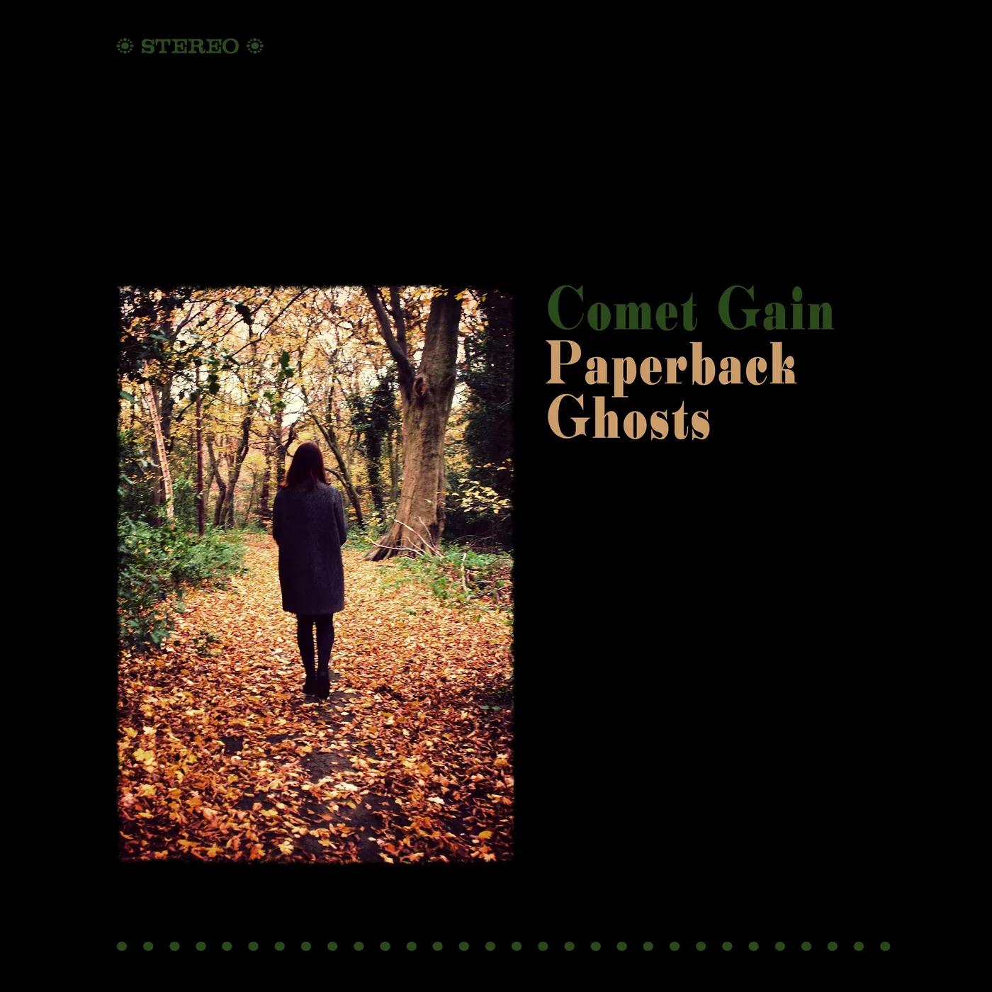 Comet Gain 'Paperback Ghosts' Vinyl Record