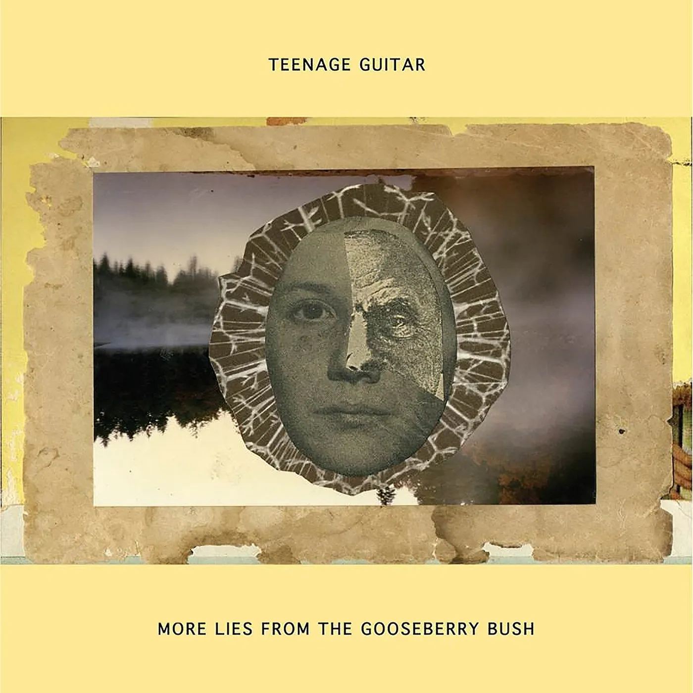 Teenage Guitar 'More Lies From The Gooseberry Bush' Vinyl Record