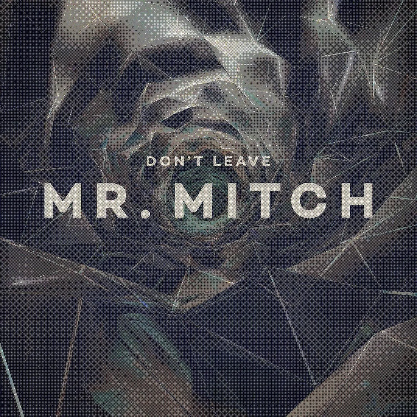 Mr. Mitch 'Don't Leave' Vinyl Record