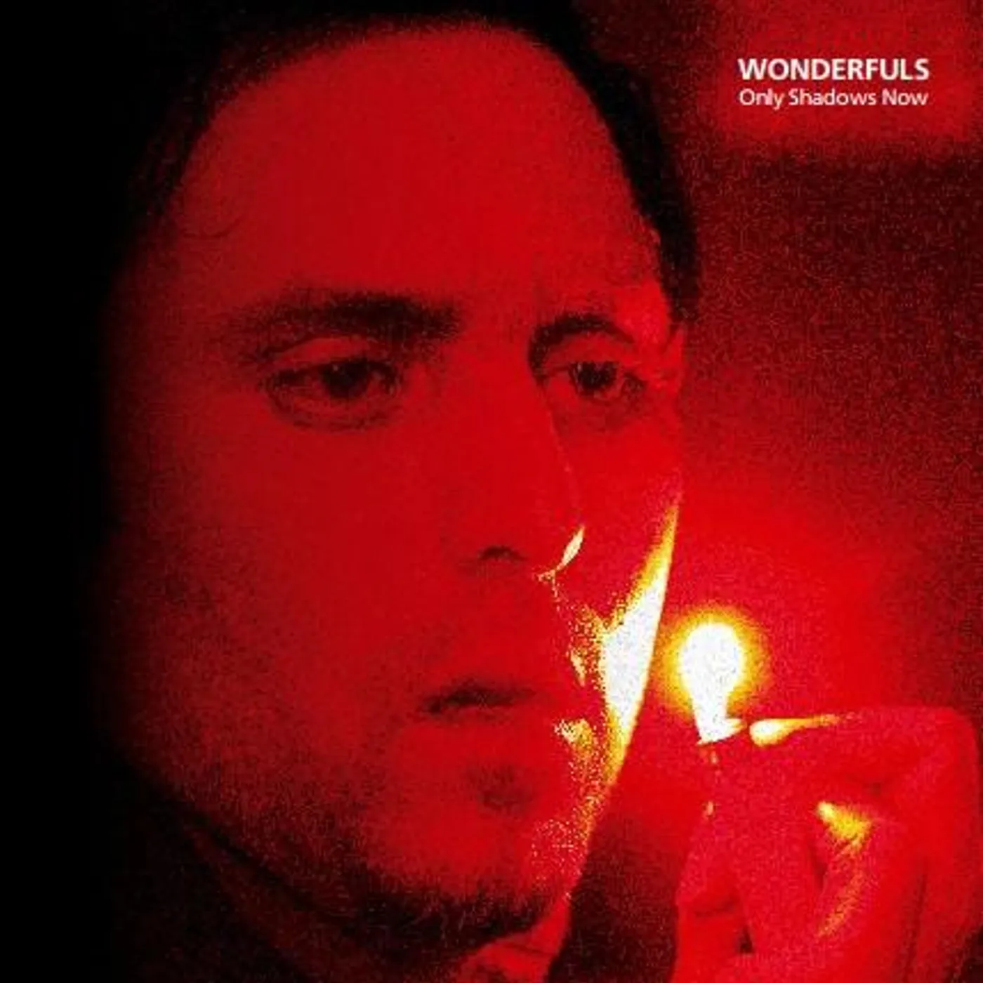 The Wonderfuls 'Only Shadows Now' Vinyl Record