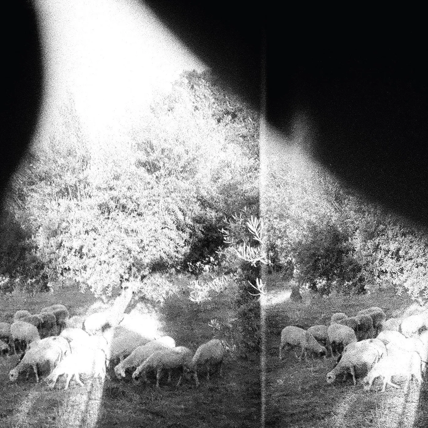 Godspeed You! Black Emperor 'Asunder, Sweet And Other Distress' Vinyl Record
