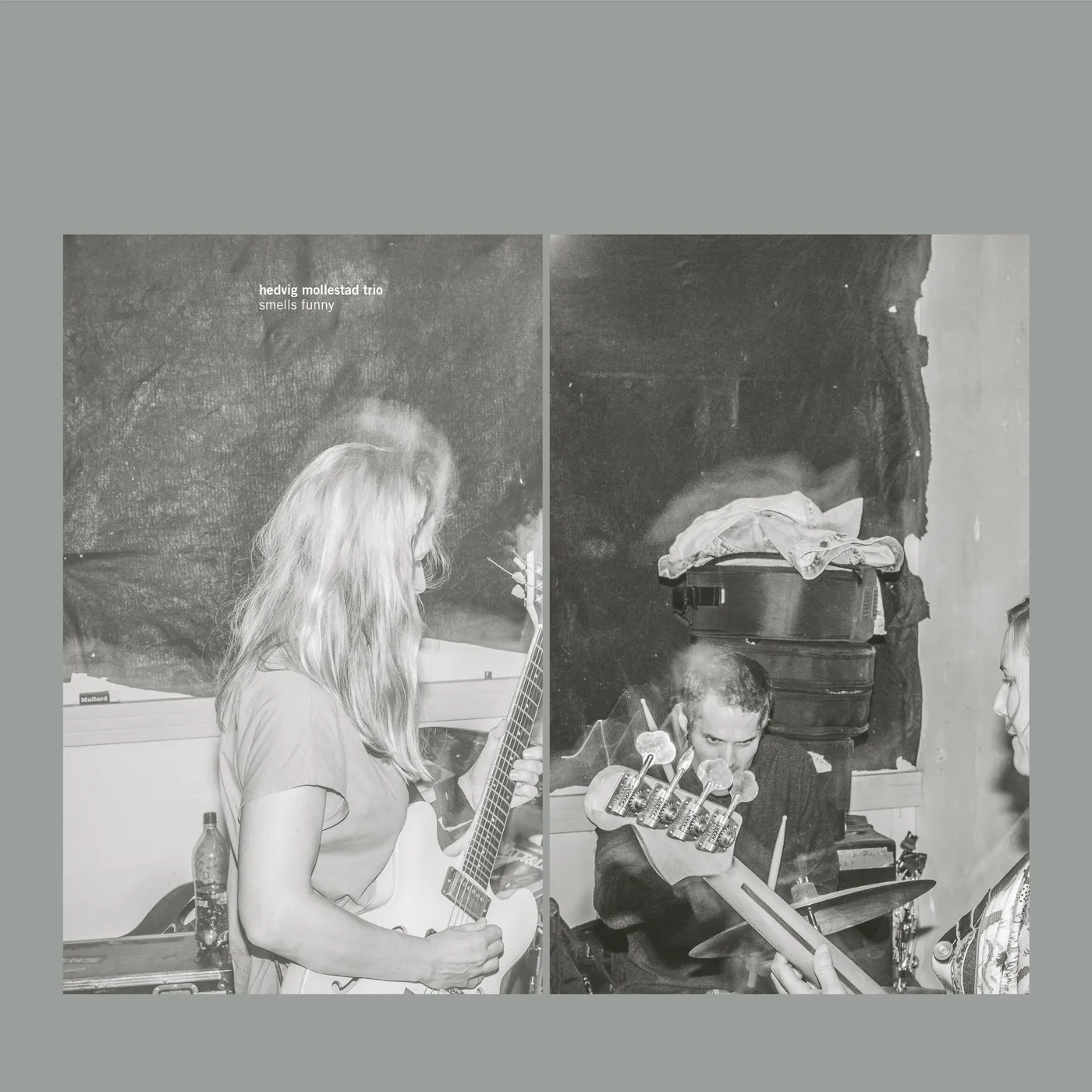 Hedvig Mollestad Trio 'Smells Funny' Vinyl Record