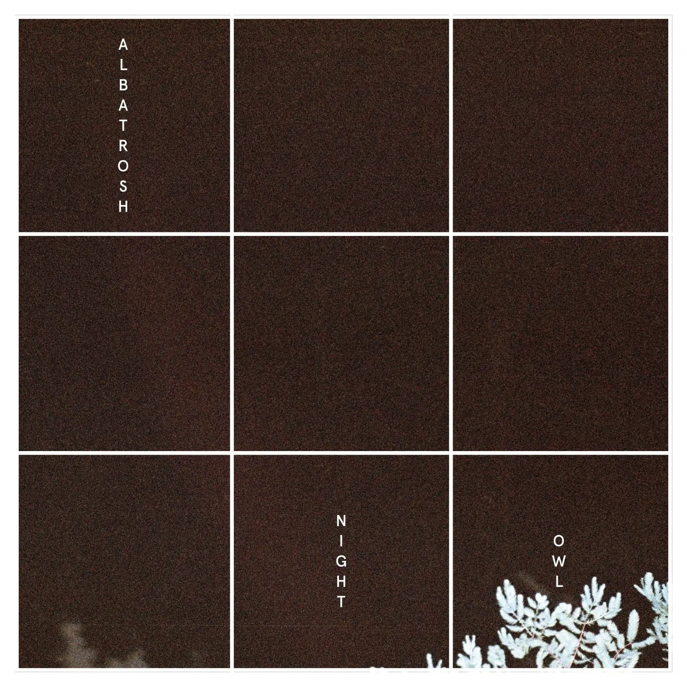 Albatrosh 'Night Owl' Vinyl Record