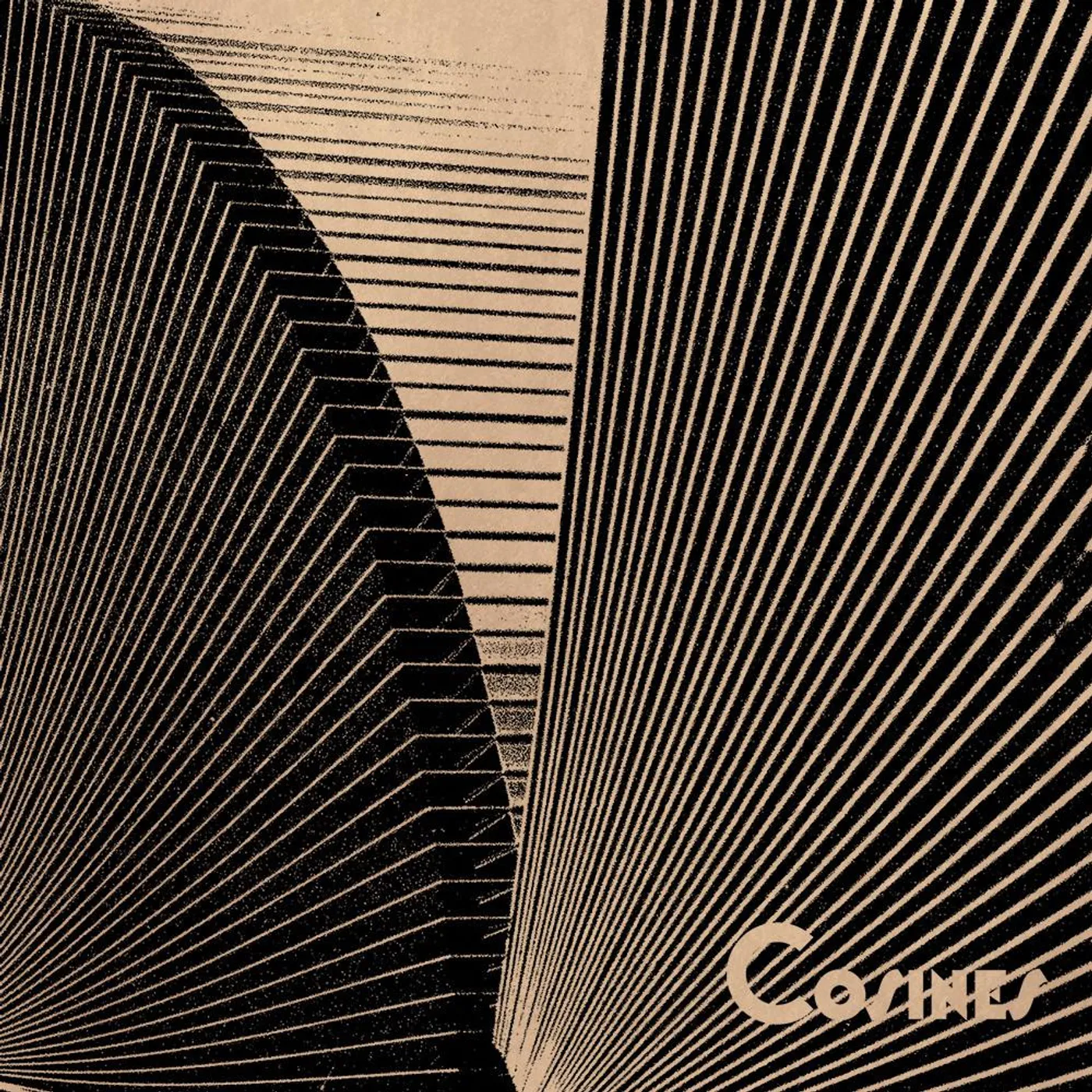 Cosines 'Transitions' Vinyl 10" Vinyl Record
