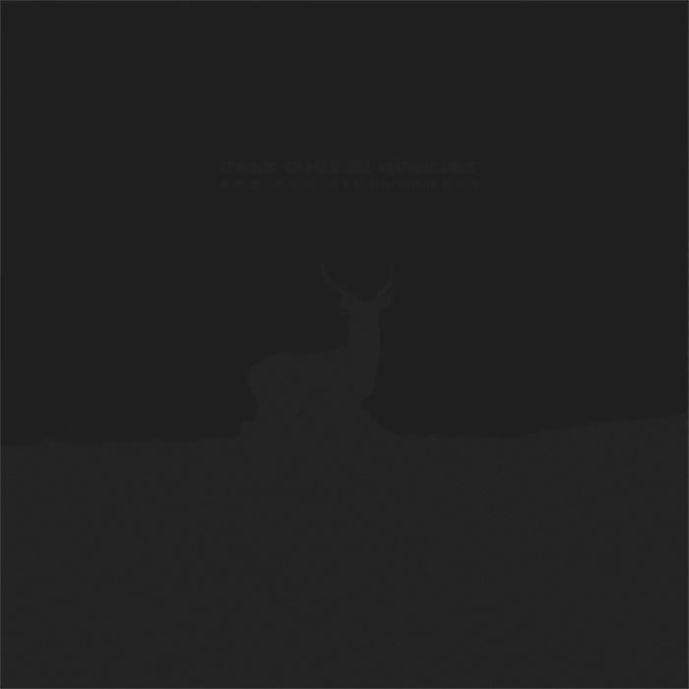 The Dale Cooper Quartet 'Parole de Navarre' Vinyl Record