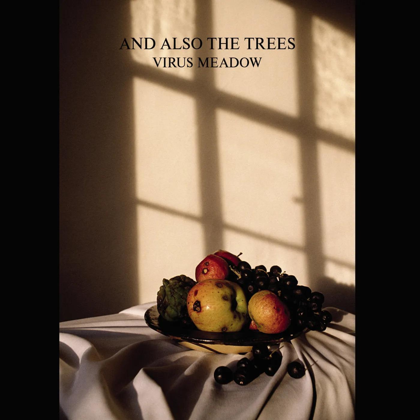 And Also The Trees 'Virus Meadow' Vinyl Record