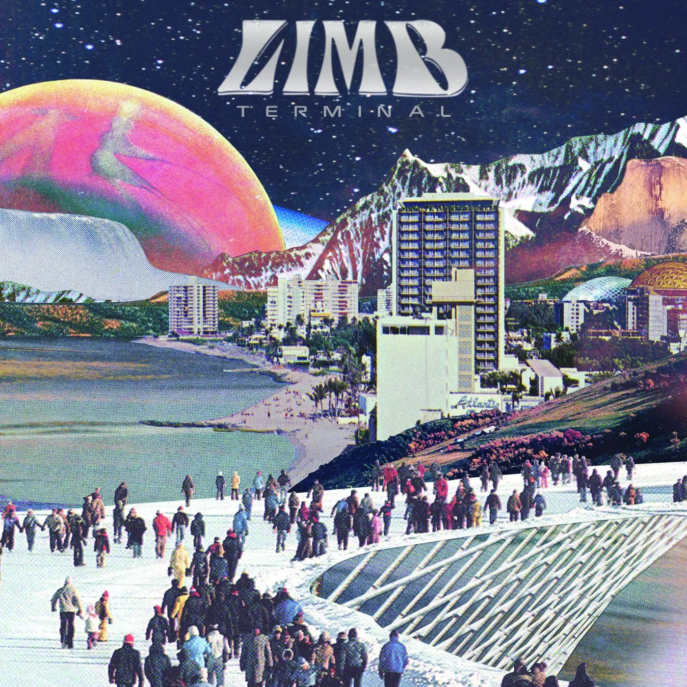 Limb 'Terminal' Vinyl Record