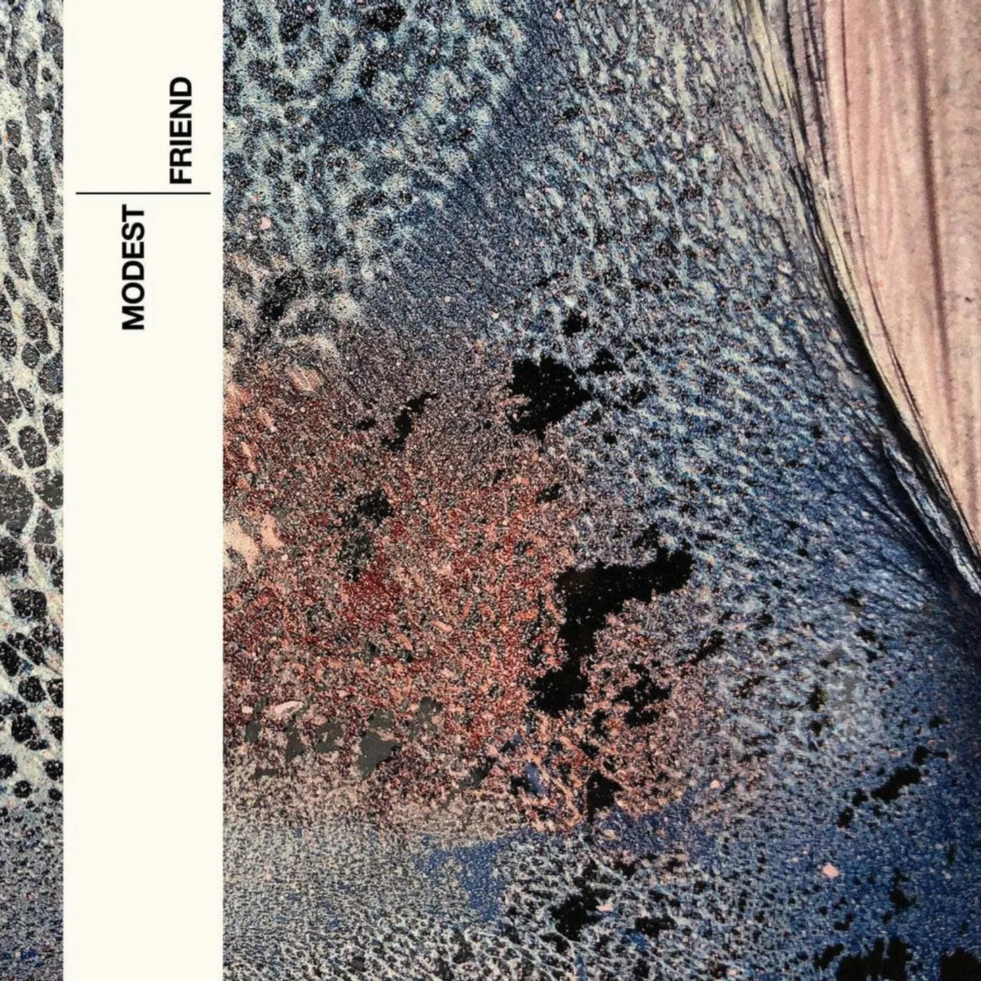 Modest 'Friend' Vinyl LP Vinyl Record