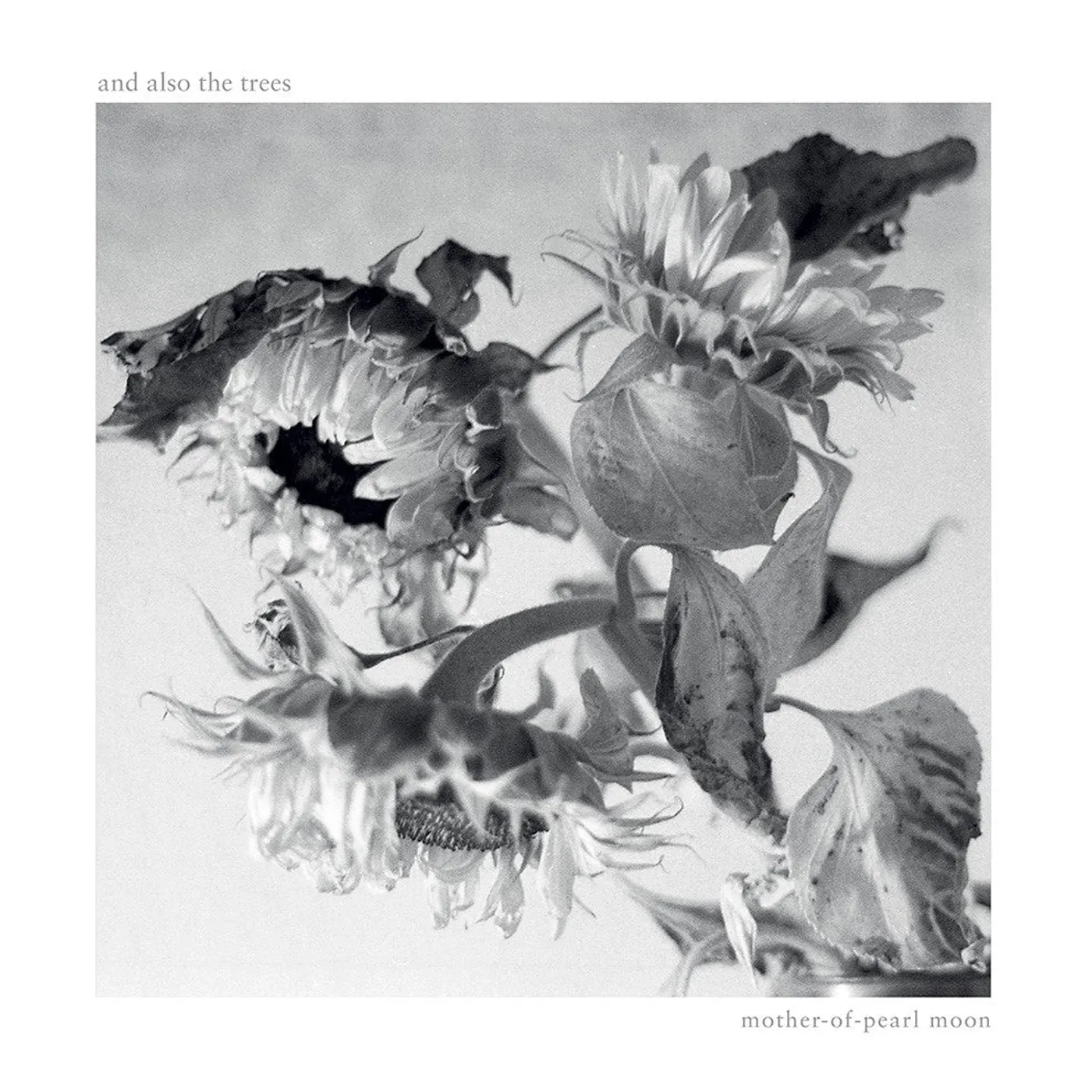 And Also The Trees 'Mother-of-Pearl Moon' Vinyl Record