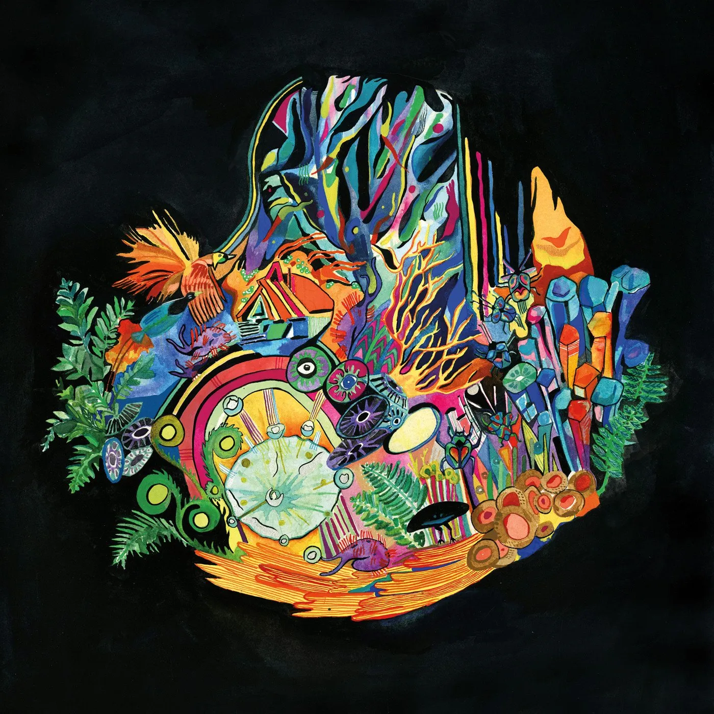 Kaitlyn Aurelia Smith 'Ears' Vinyl Record