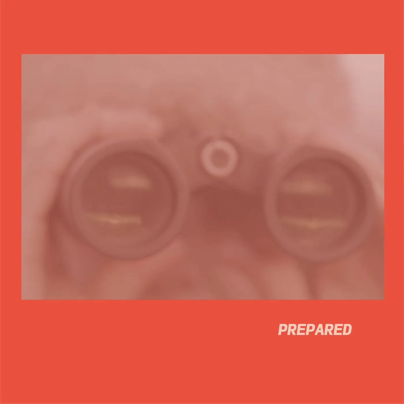 Laura J Martin 'Prepared' Vinyl Record