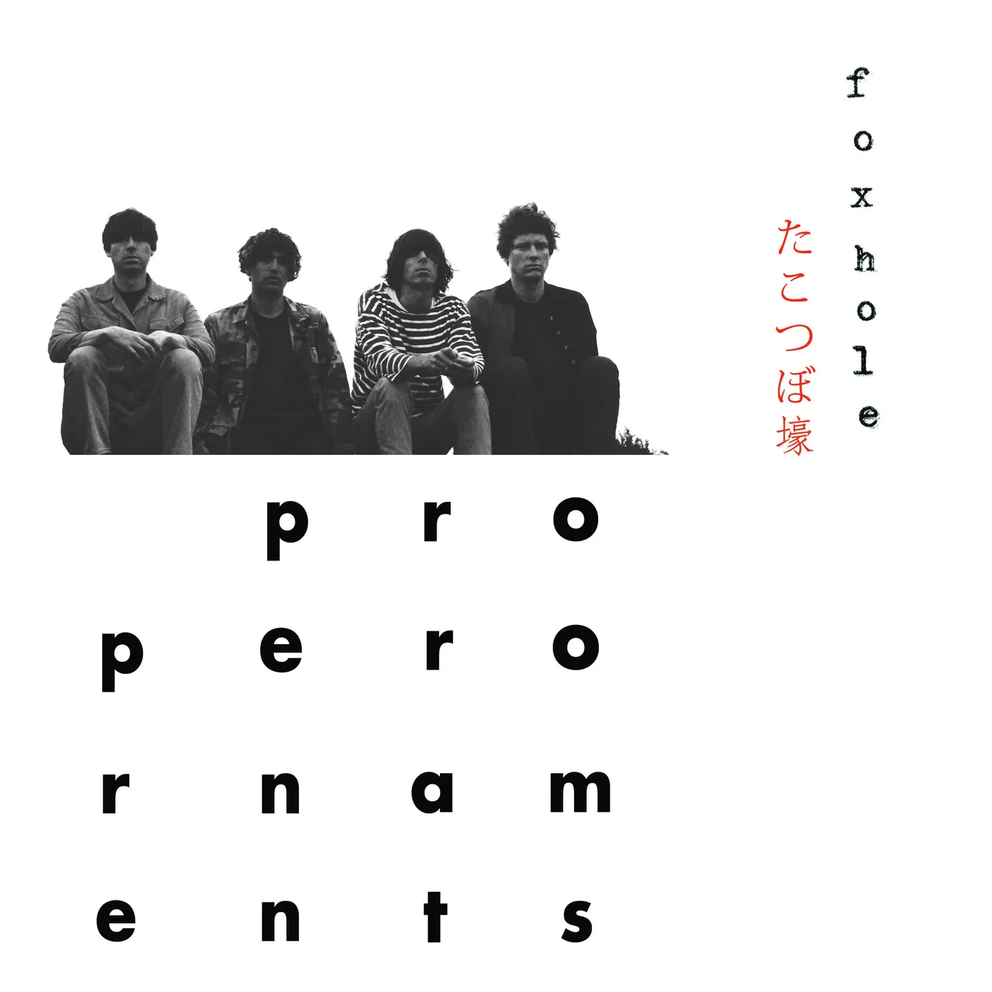 The Proper Ornaments 'Foxhole' Vinyl Record