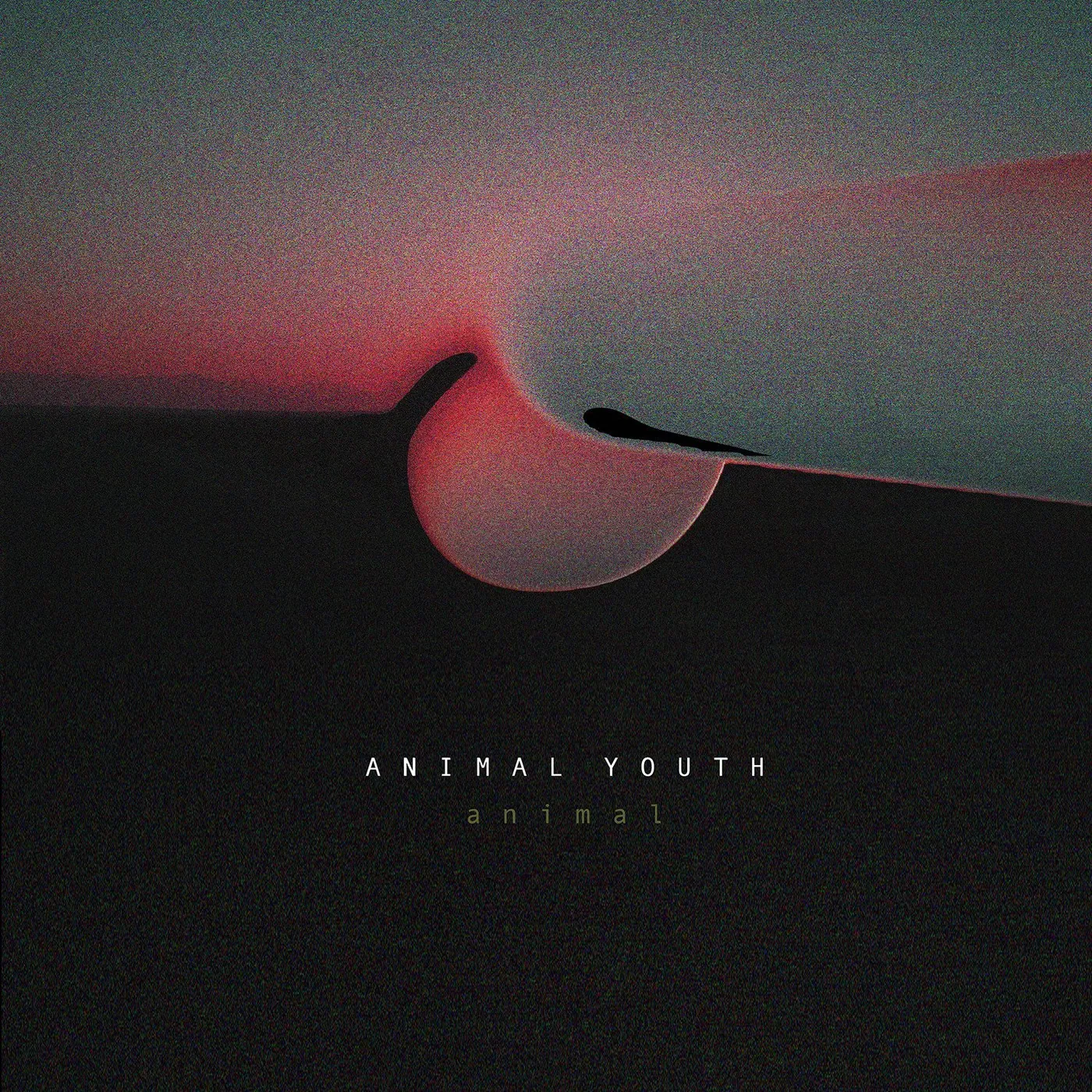 Spo-Enabled Animal Youth 'Animal' Vinyl Record