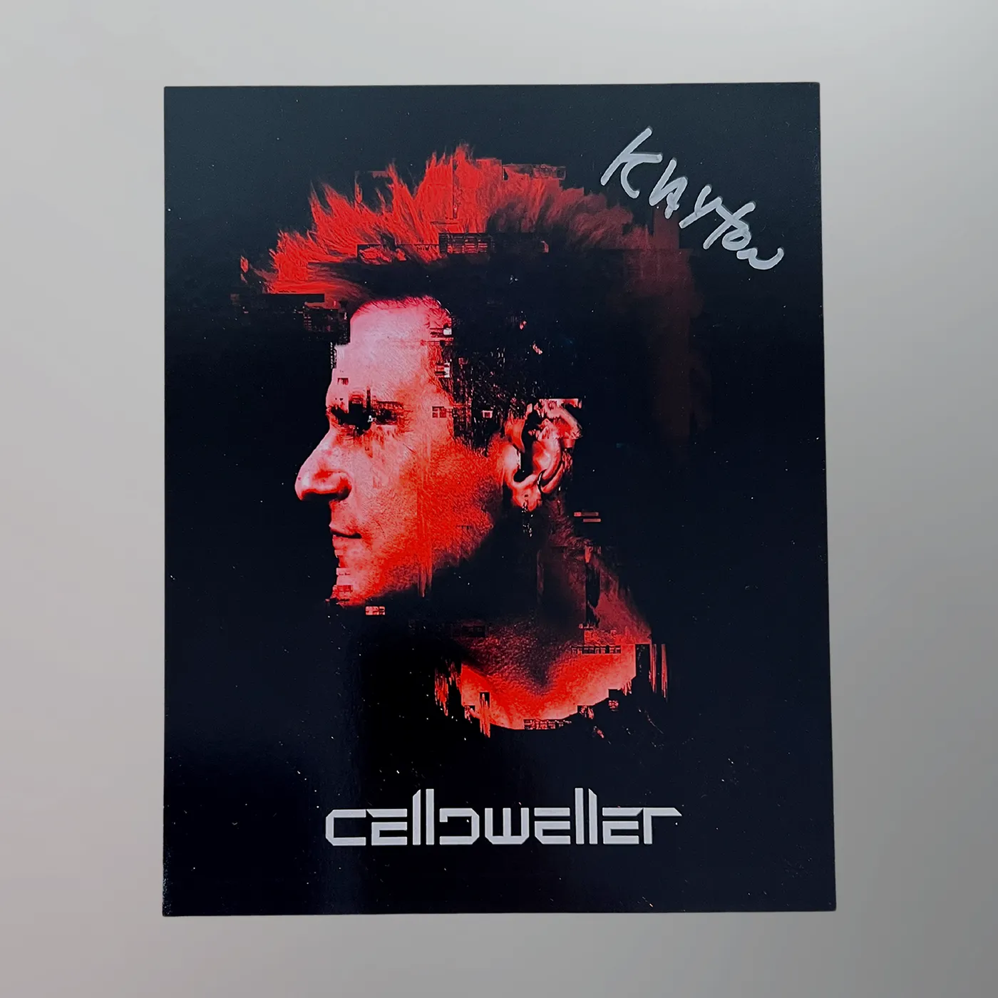 Celldweller - Autographed 8x10 Print