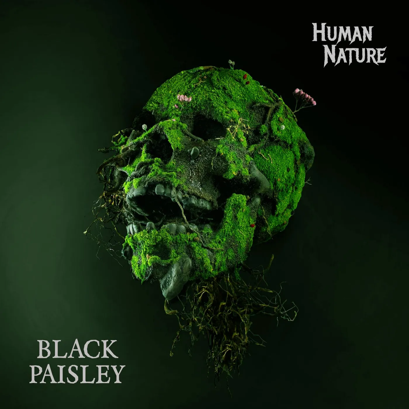 Black Paisley Human Nature CD Digipak