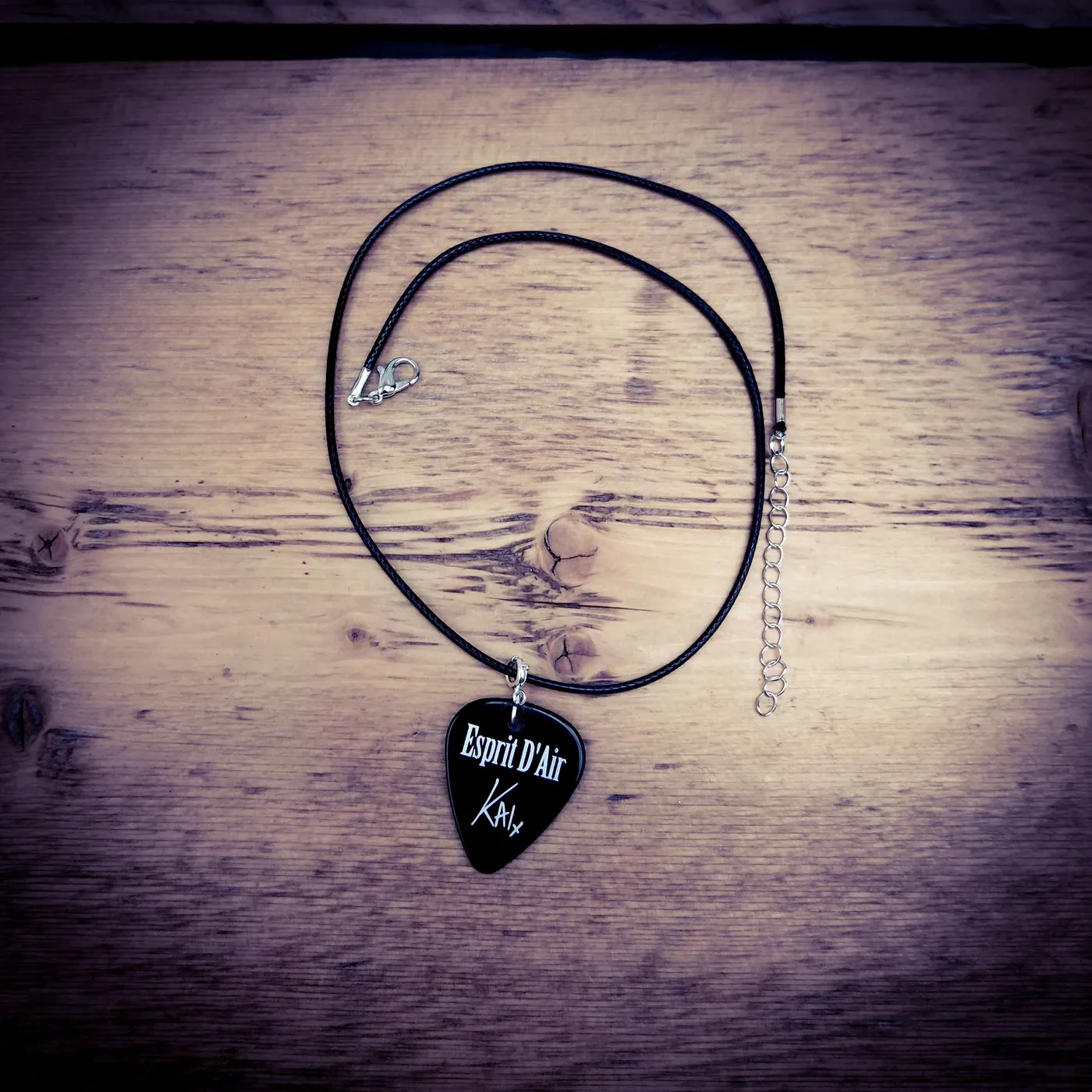 Esprit D'Air Pre-order: Handmade Guitar Pick Necklace
