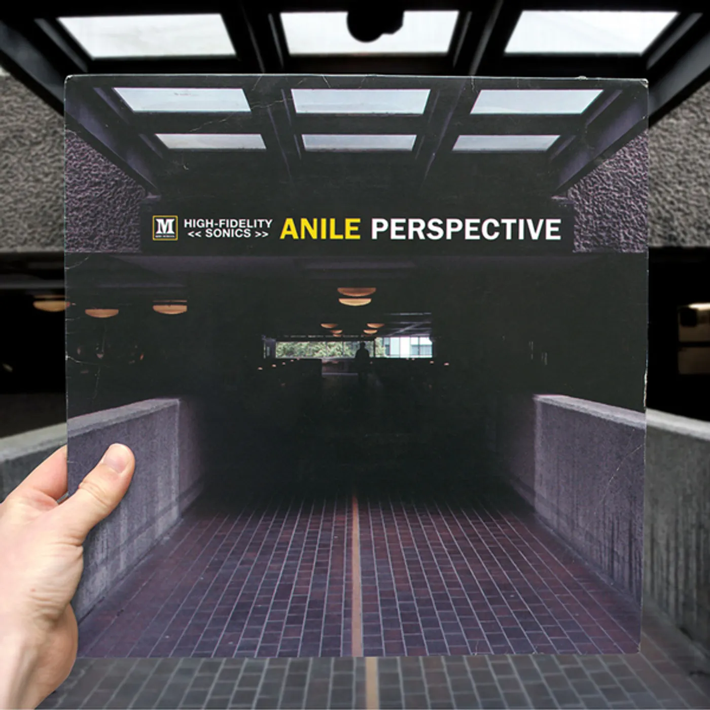 Anile Perspective
