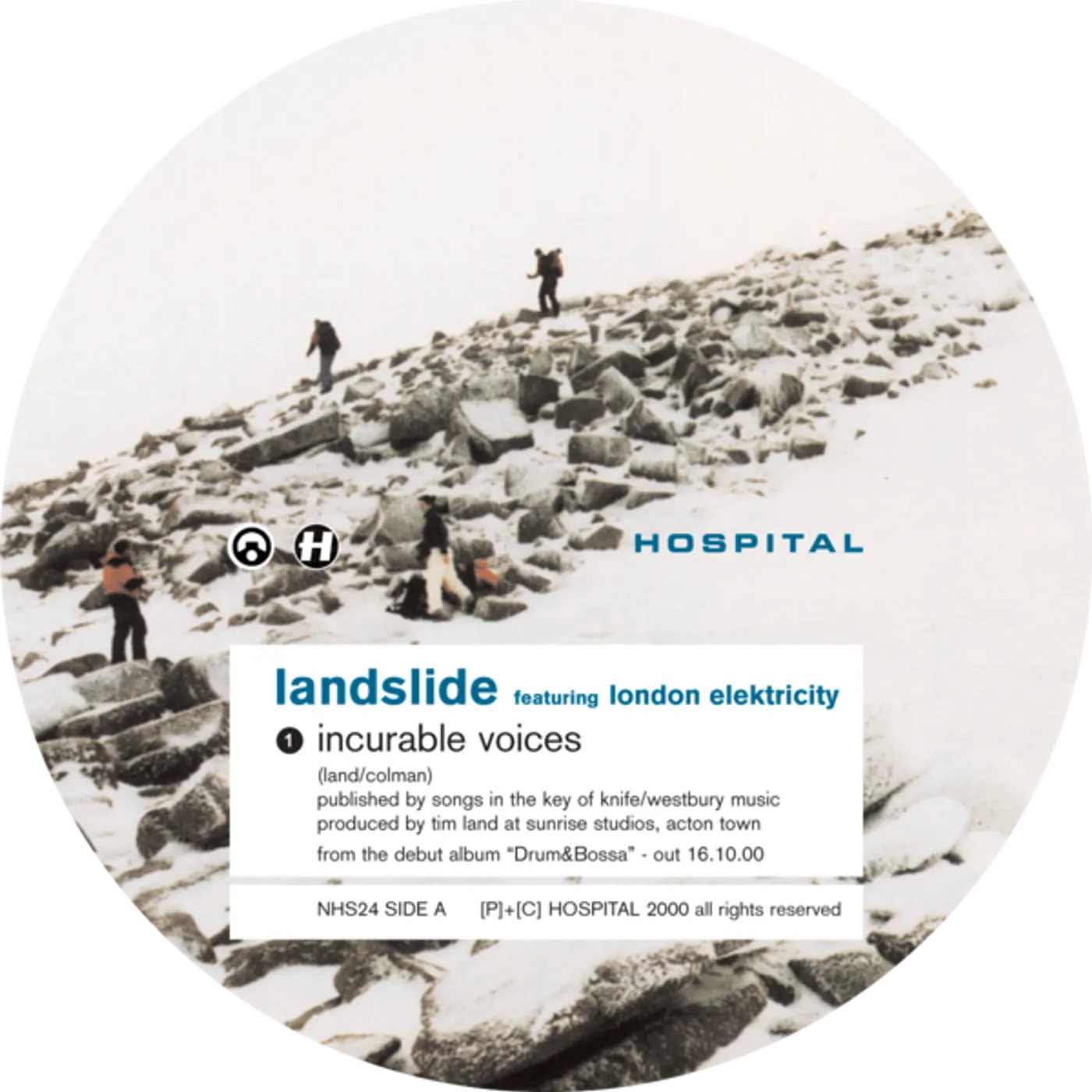 Landslide Incurable Voices