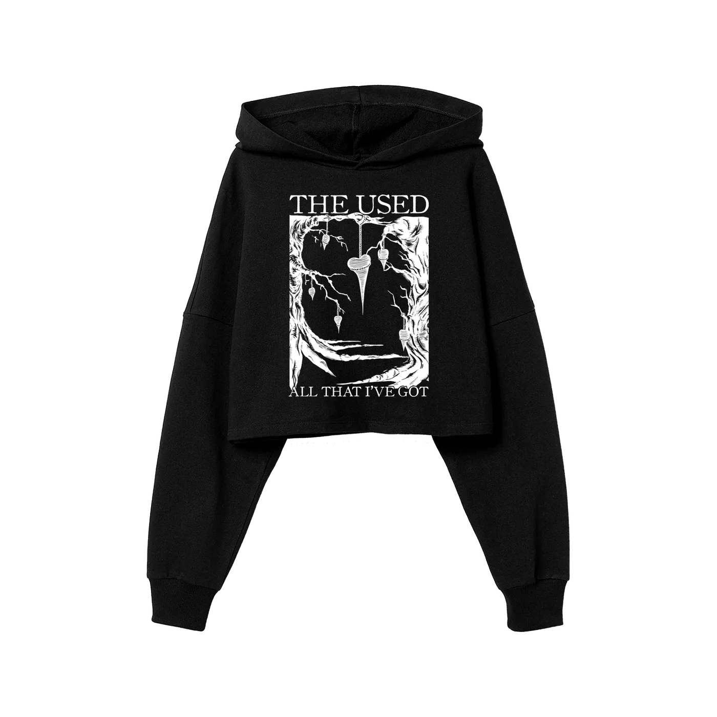 The Used All That I've Got Crop Hoodie