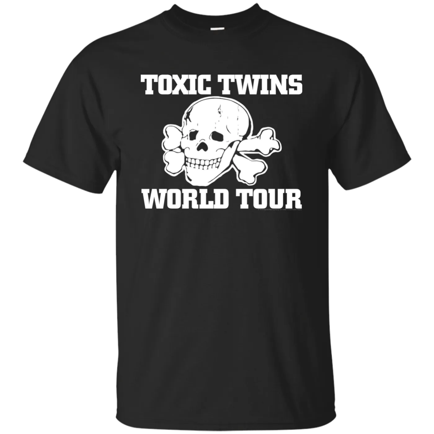 Aerosmith Toxic Twins World Tour