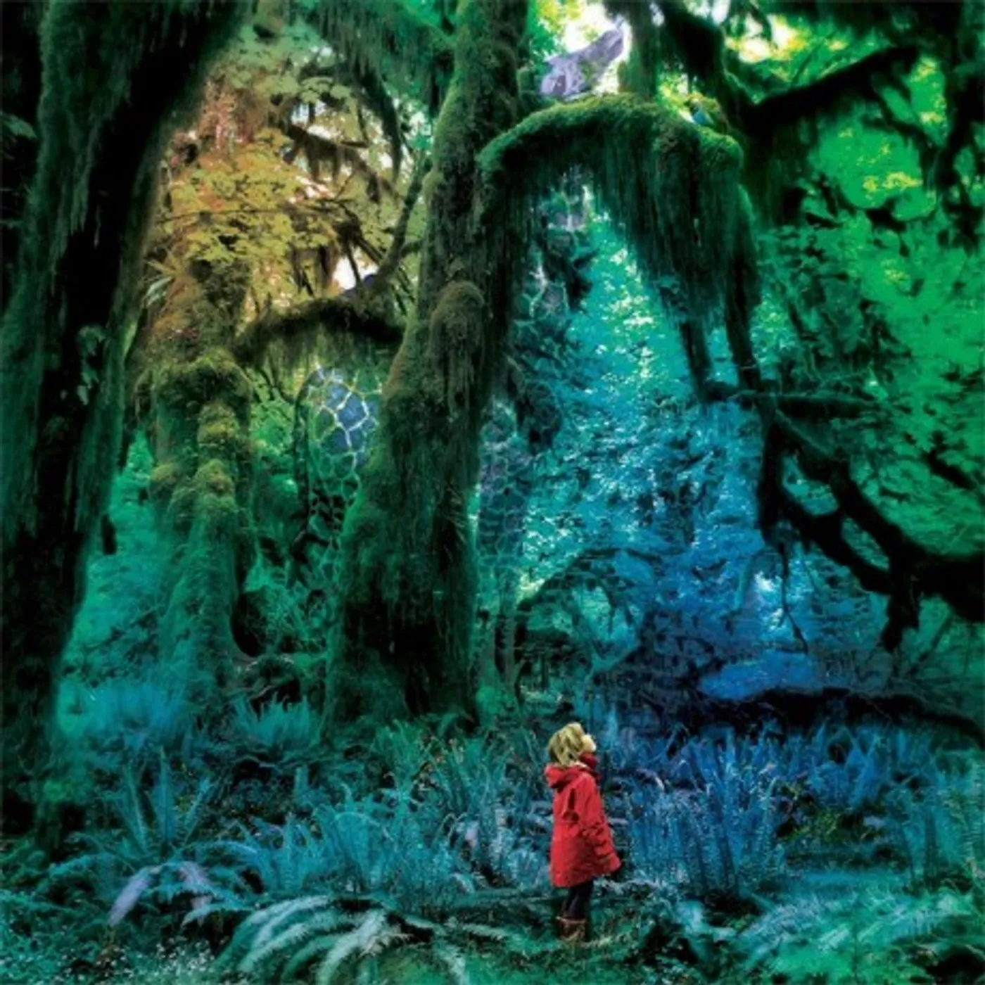 Jacco Gardner Cabinet of Curiosities