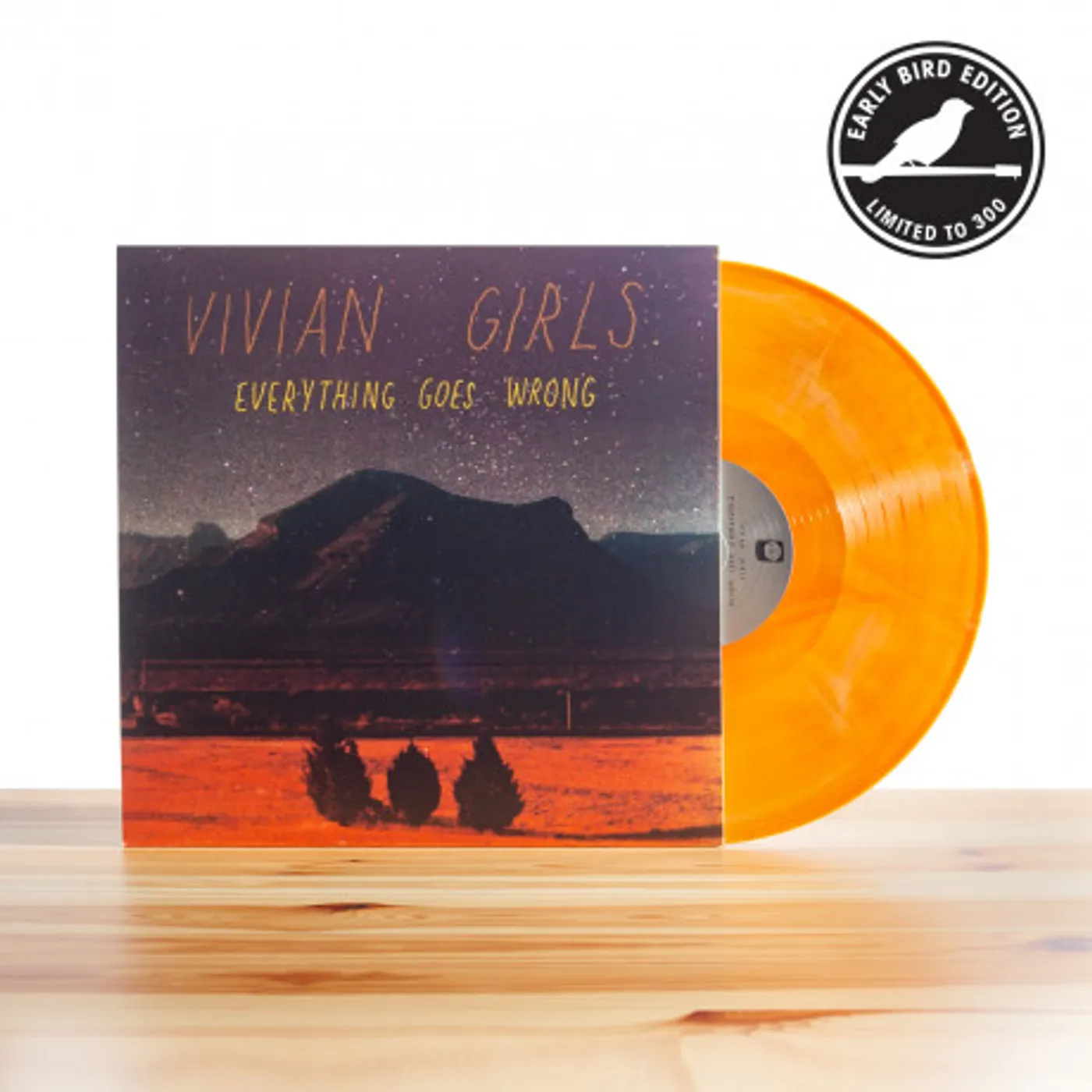 Vivian Girls Everything Goes Wrong (Test Pressing)