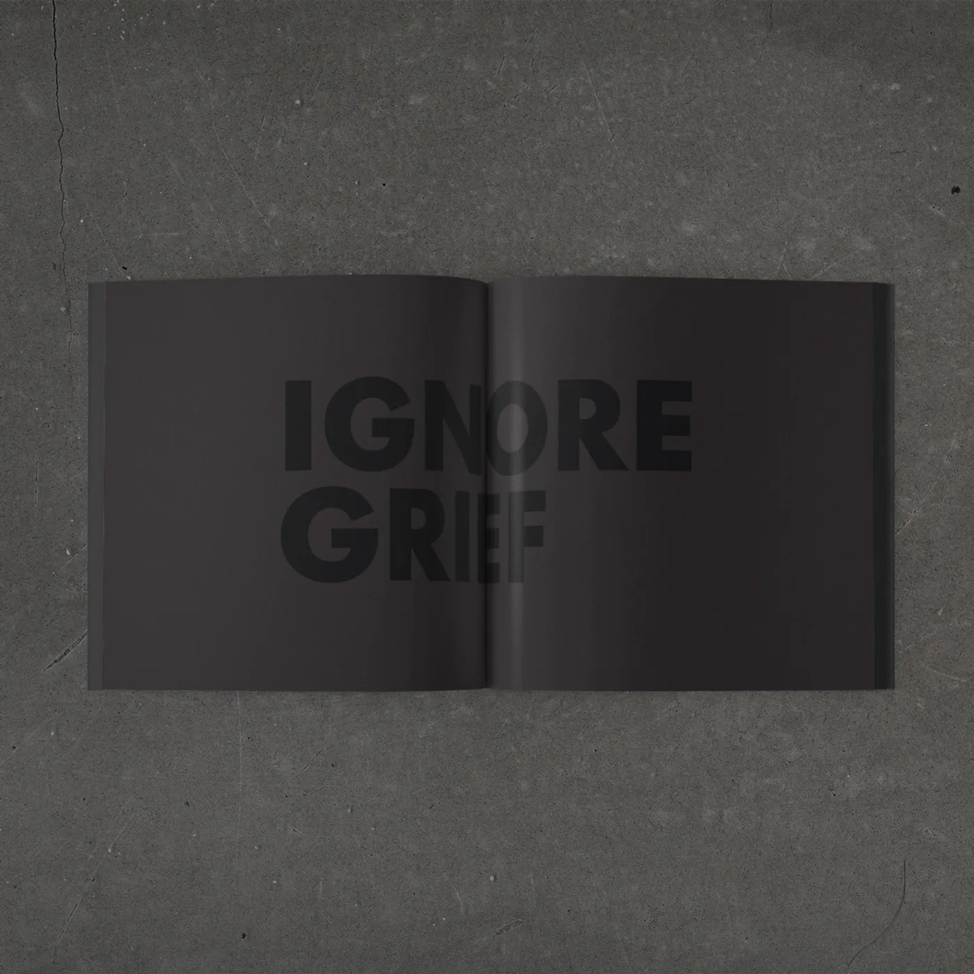Xiu Xiu Ignore Grief