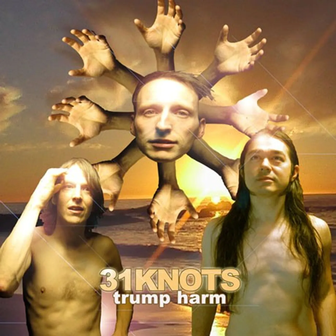 31Knots Trump Harm