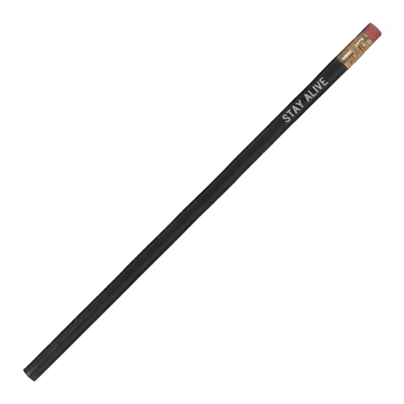 Laura Jane Grace Stay Alive Moleskine® Volant Ruled Large Journal