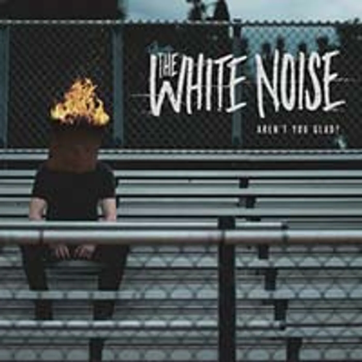 The White Noise Aren't You Glad? CD