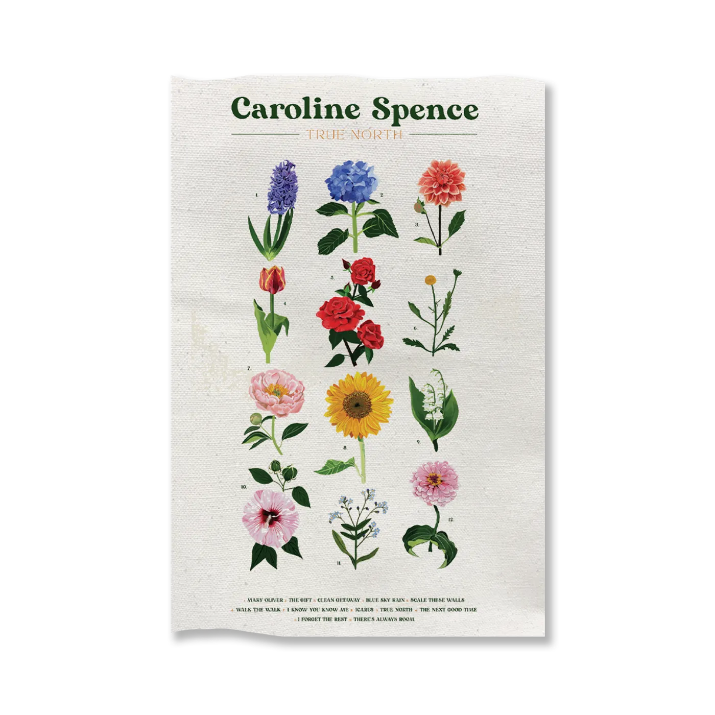 Caroline Spence True North Tea Towel