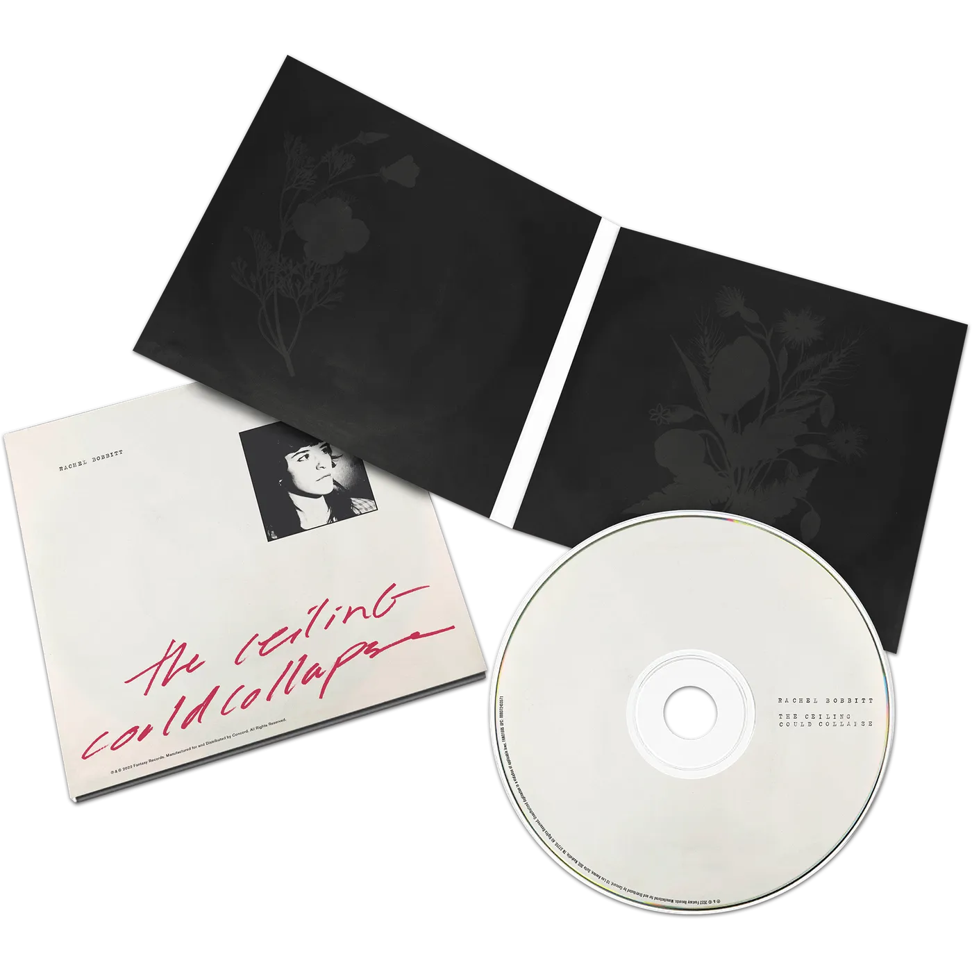 Rachel Bobbitt The Ceiling Could Collapse CD