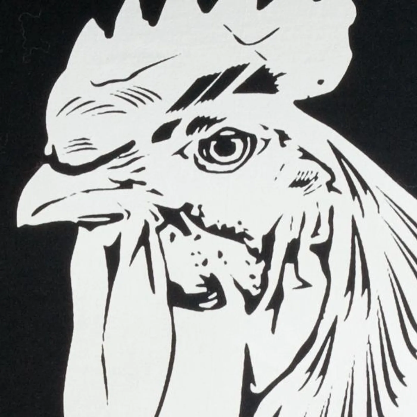 Mayfly Records "Mayfly Logo" T-Shirt