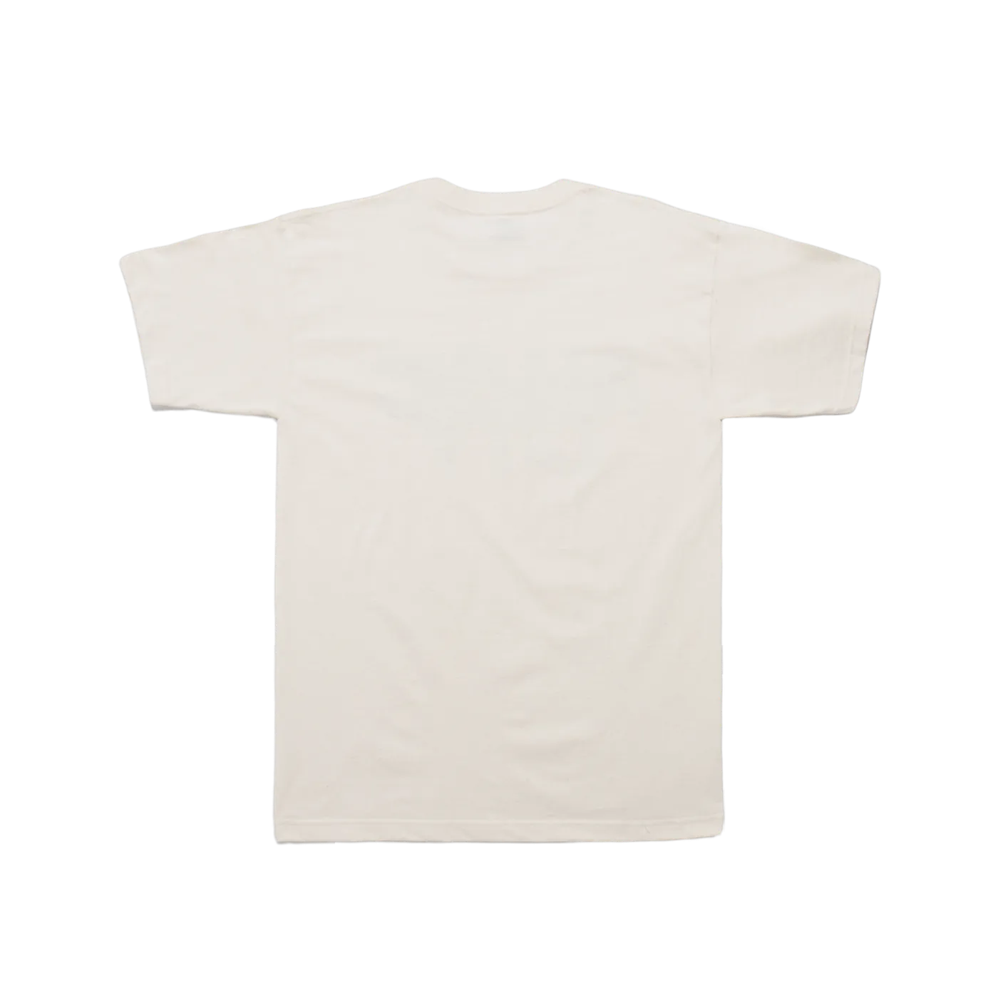 Fivio Foreign B.I.B.L.E. Tee Tan