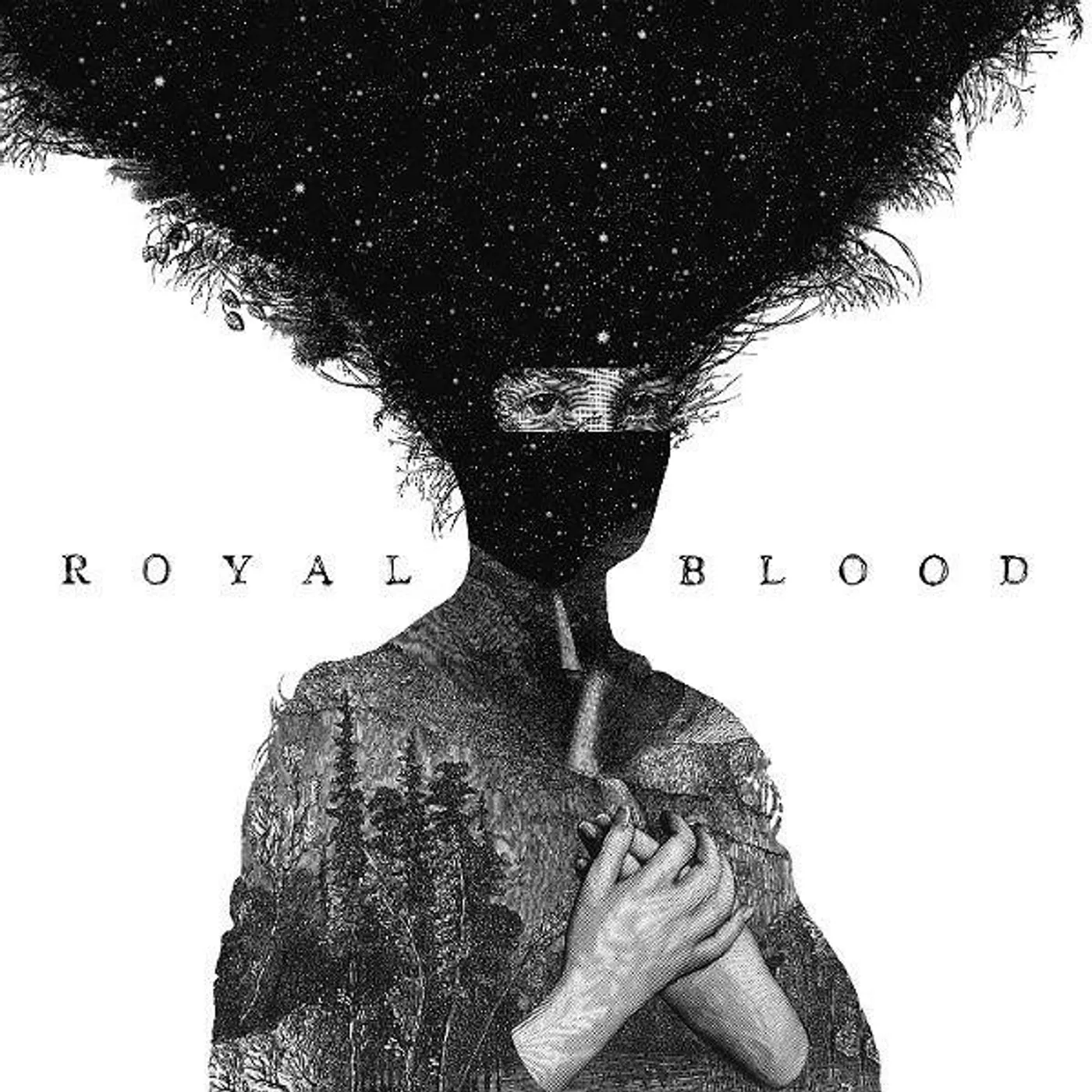 Royal Blood Vinyl
