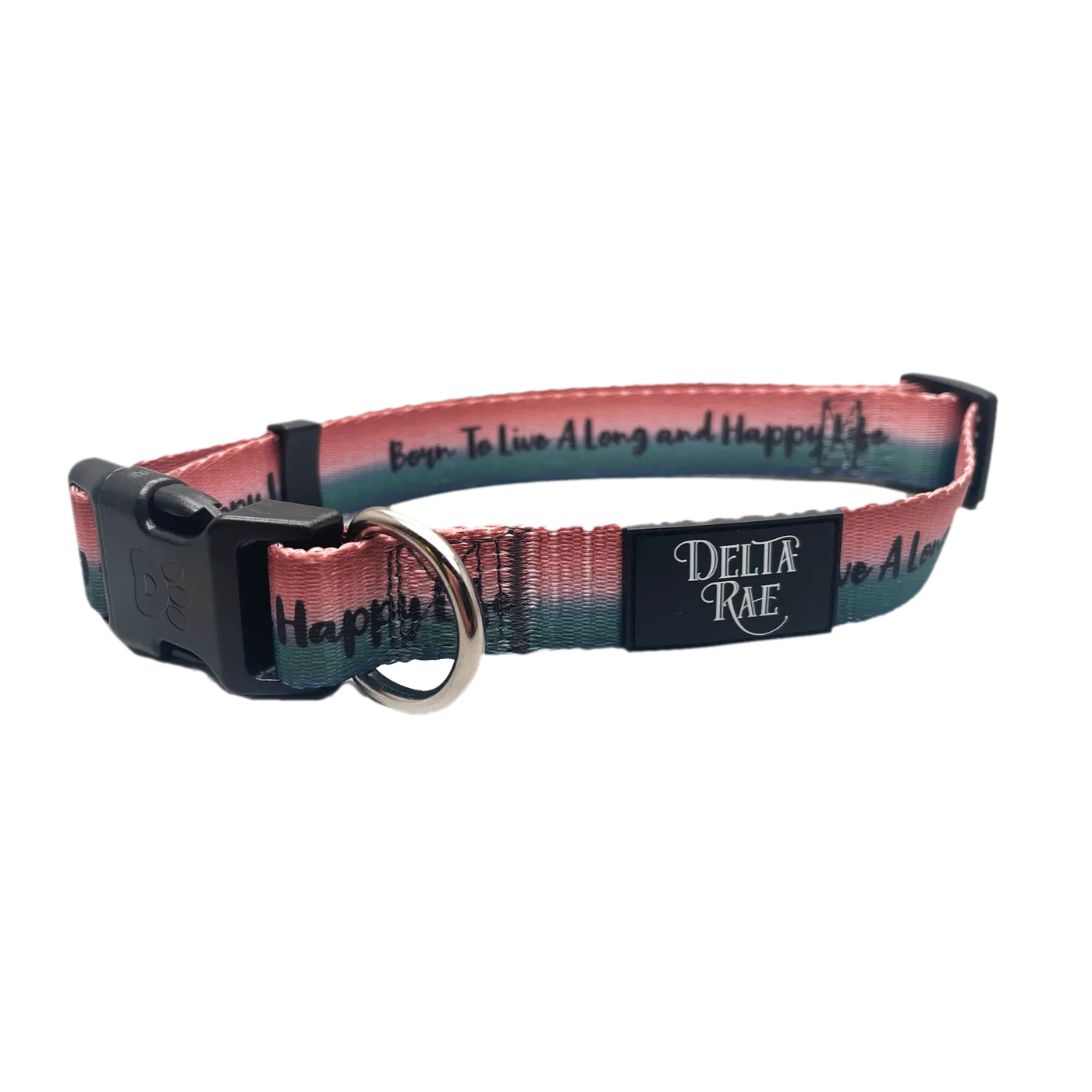 Delta Rae Born to Live a Long and Happy Life Dog Collar