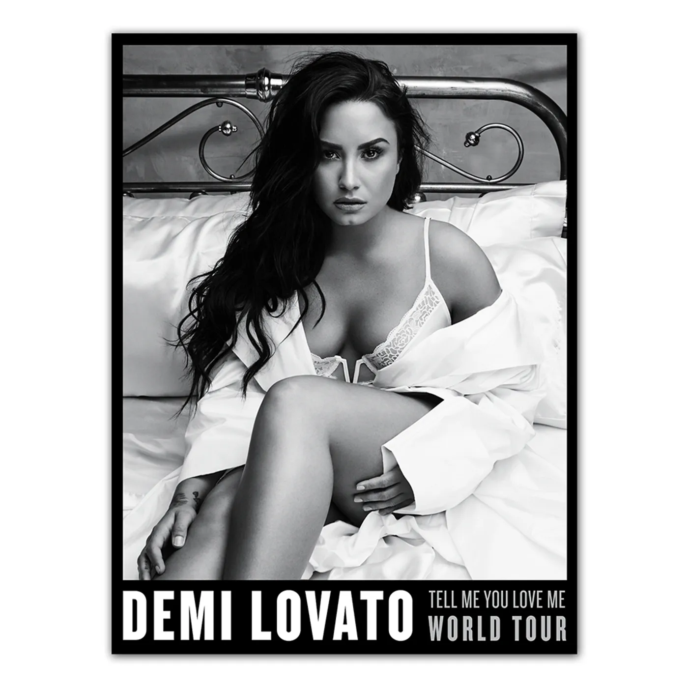 Demi Lovato TMYLM World Tour Poster