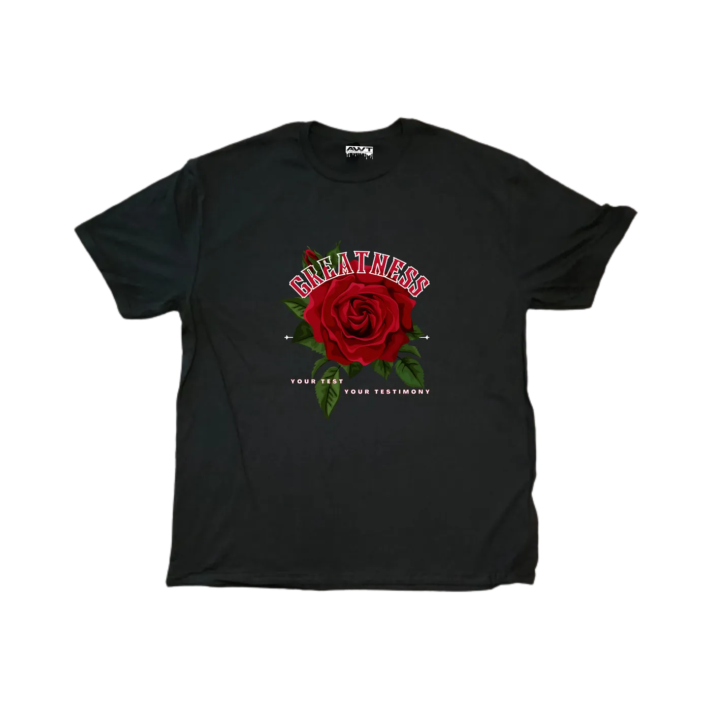 J Torah Greatness Tee